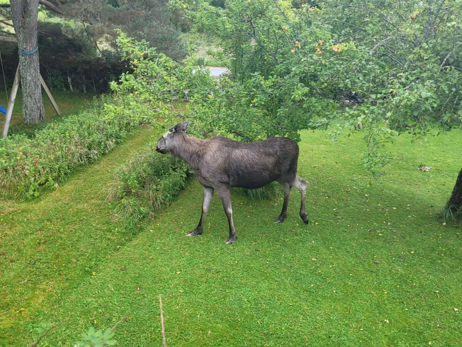 Villa Solsken-Dehors