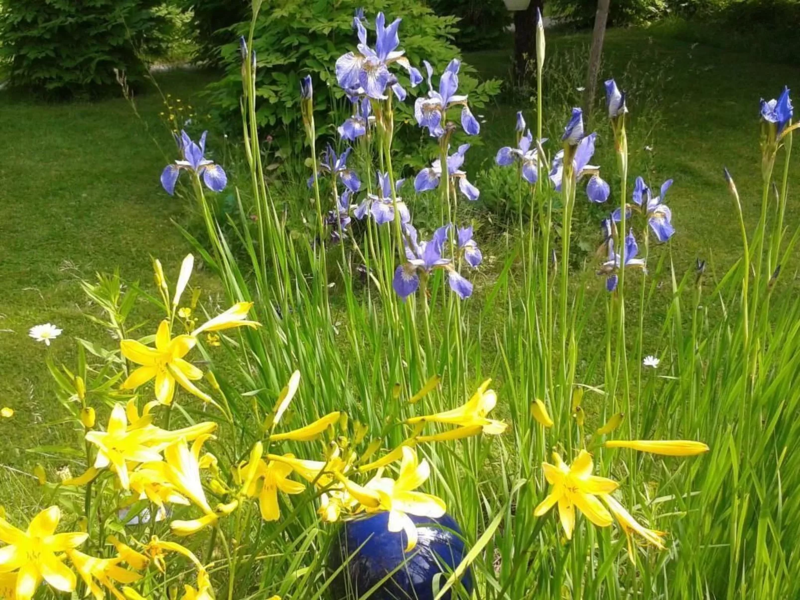 Gemütliches Haus in Arvika mit Garten und Grill-Dehors
