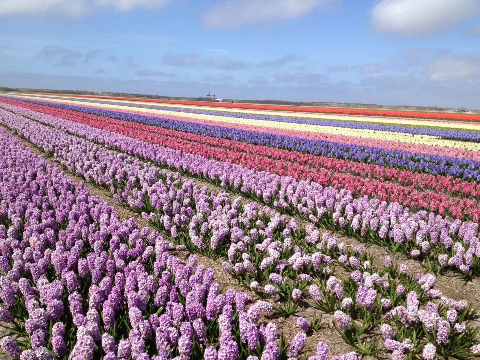 "De Korre 4" mit privatem Garten und Terrasse-Dehors