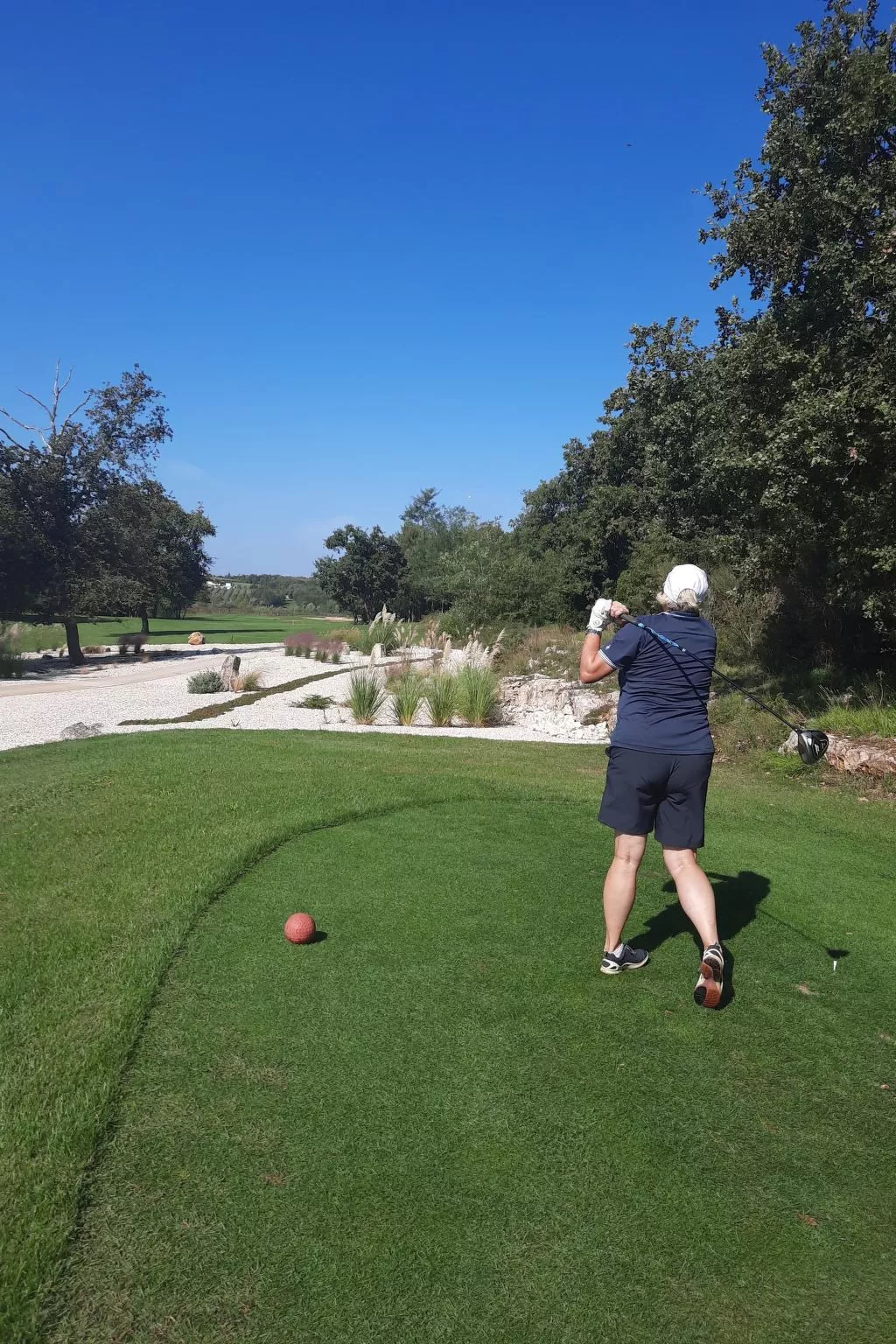 Reethaus Edith-Image-tags.info