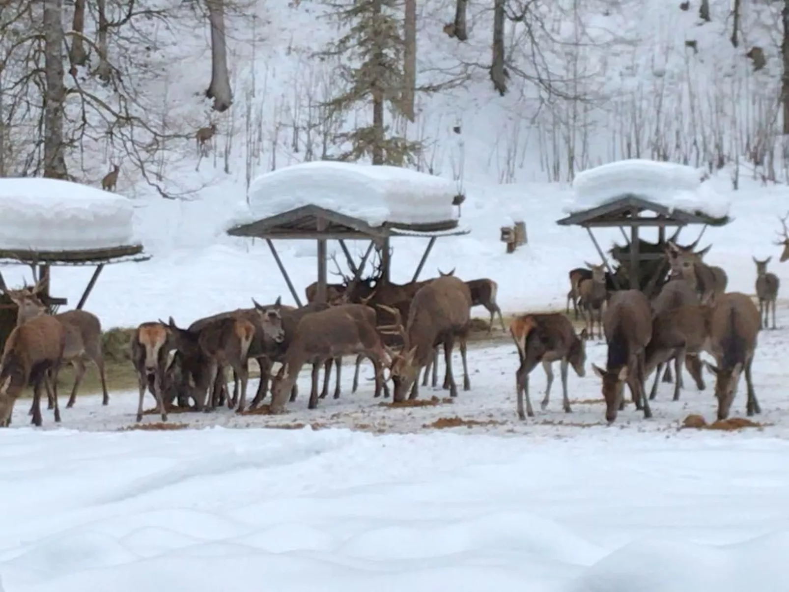 Mit Blick auf das Wasser-Outside