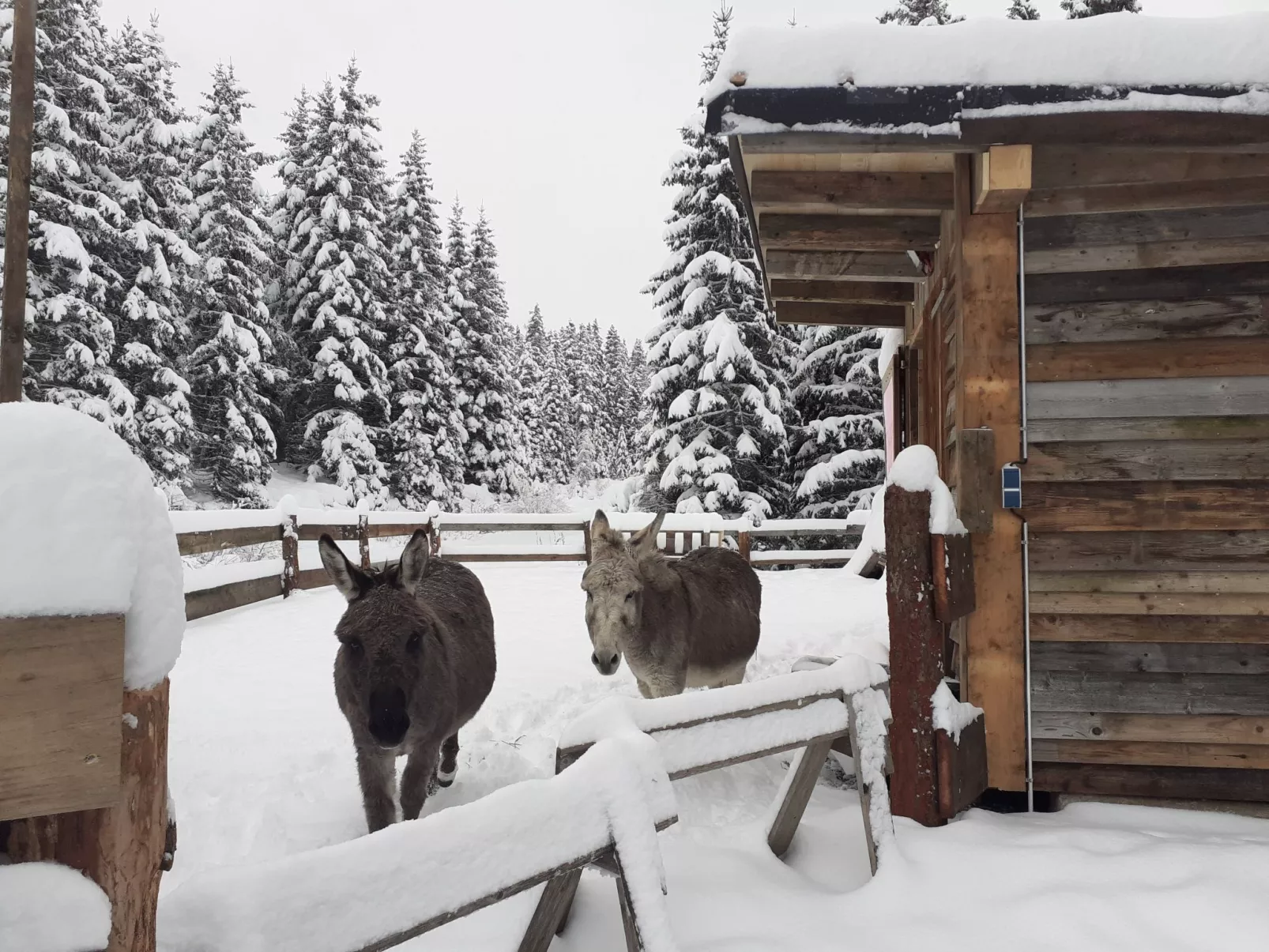 Schönberghütte-Dehors