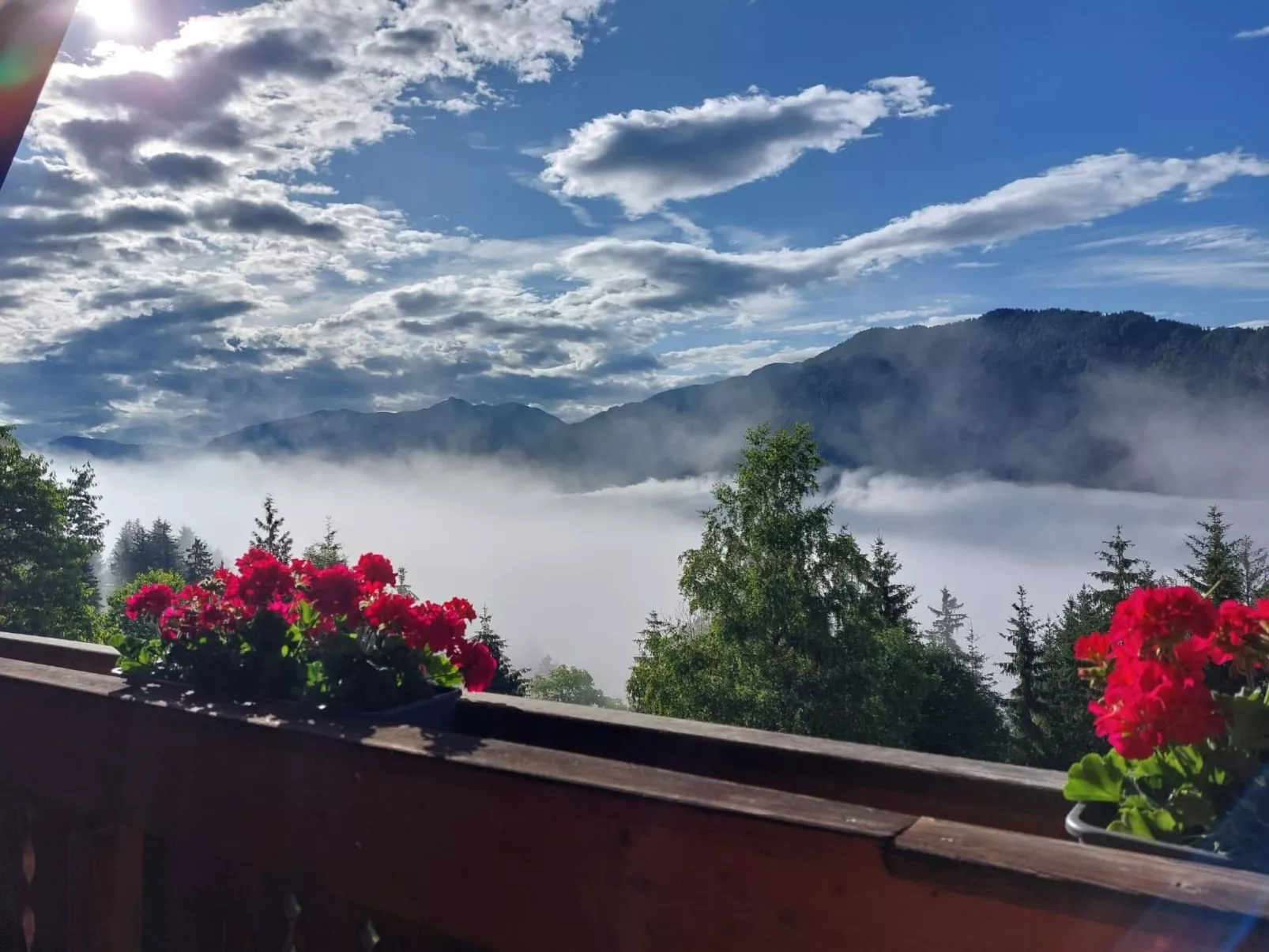 Reißkofel in Steinfeld-Draußen
