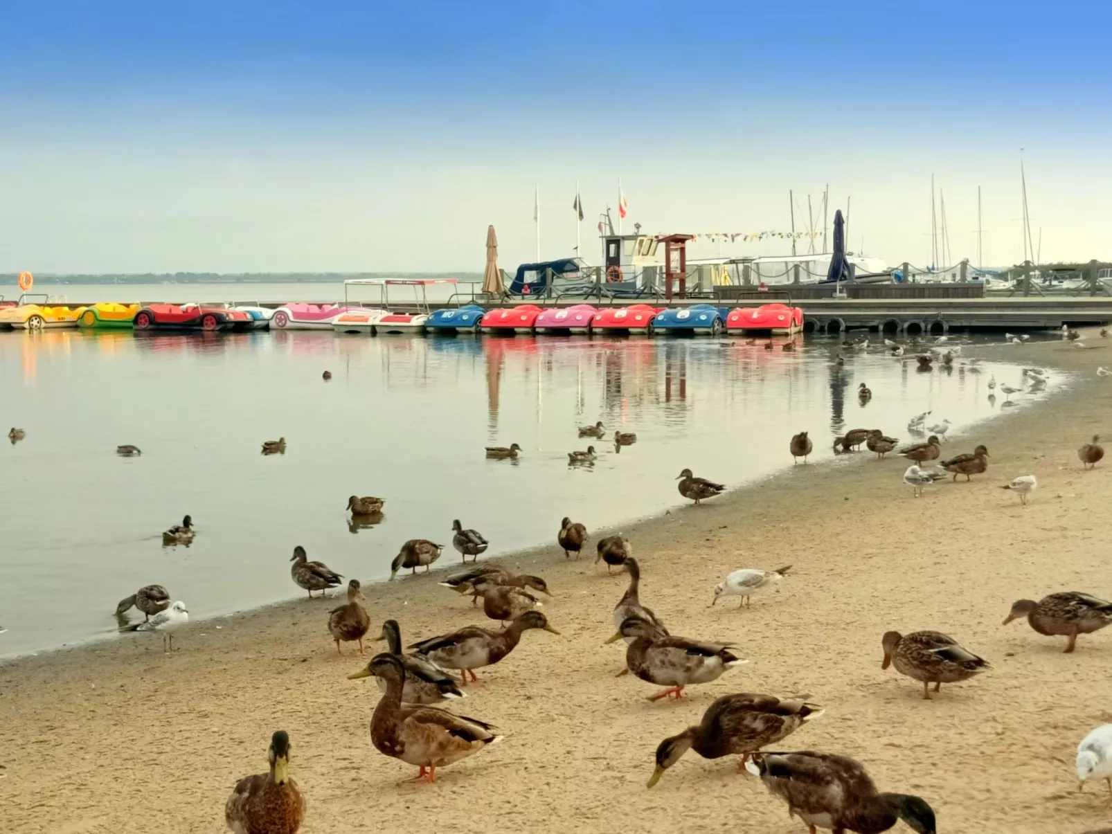 "Paradise Star2" mit eigener Terrasse-Draußen