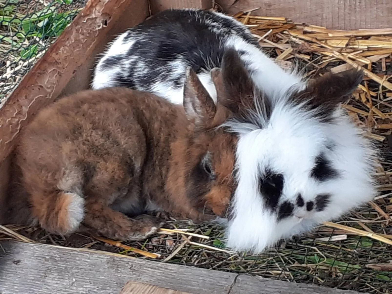 Lachtalhütte-Dehors