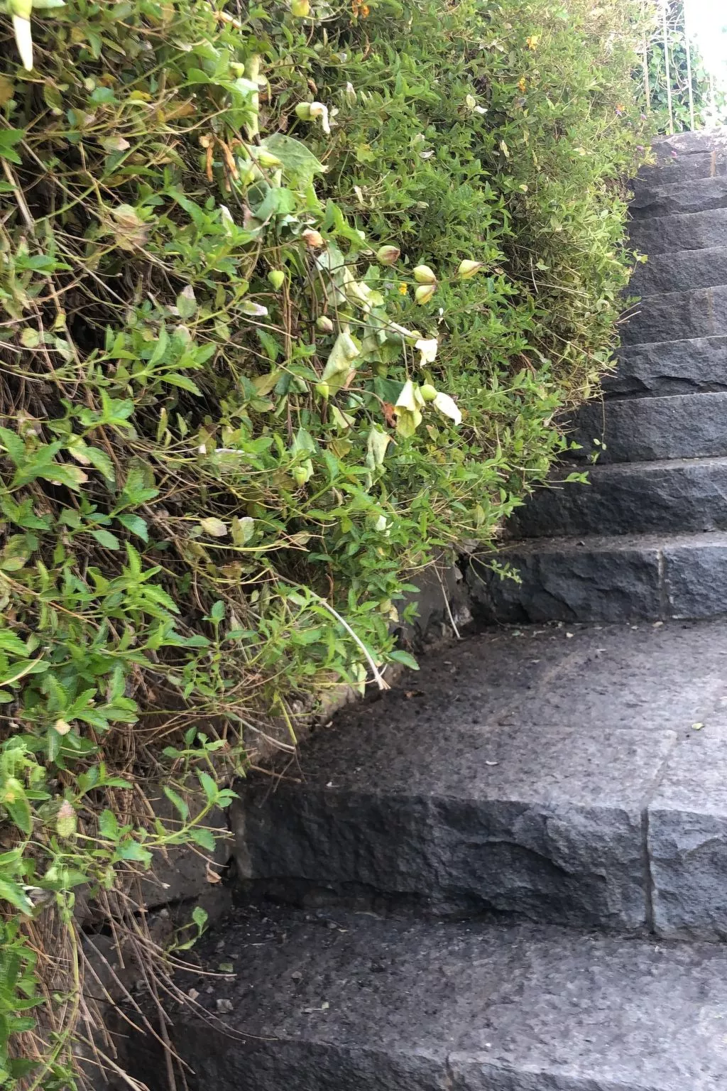 Villa mit Wasserblick-Outside