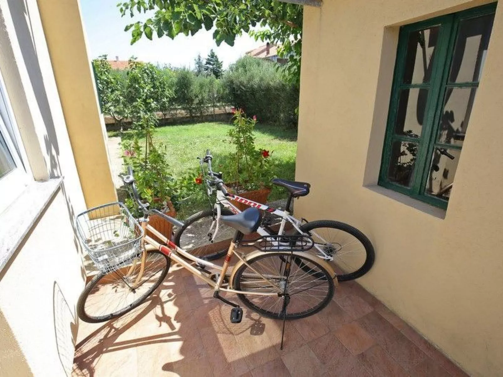 "Frane"-Image-tags.info