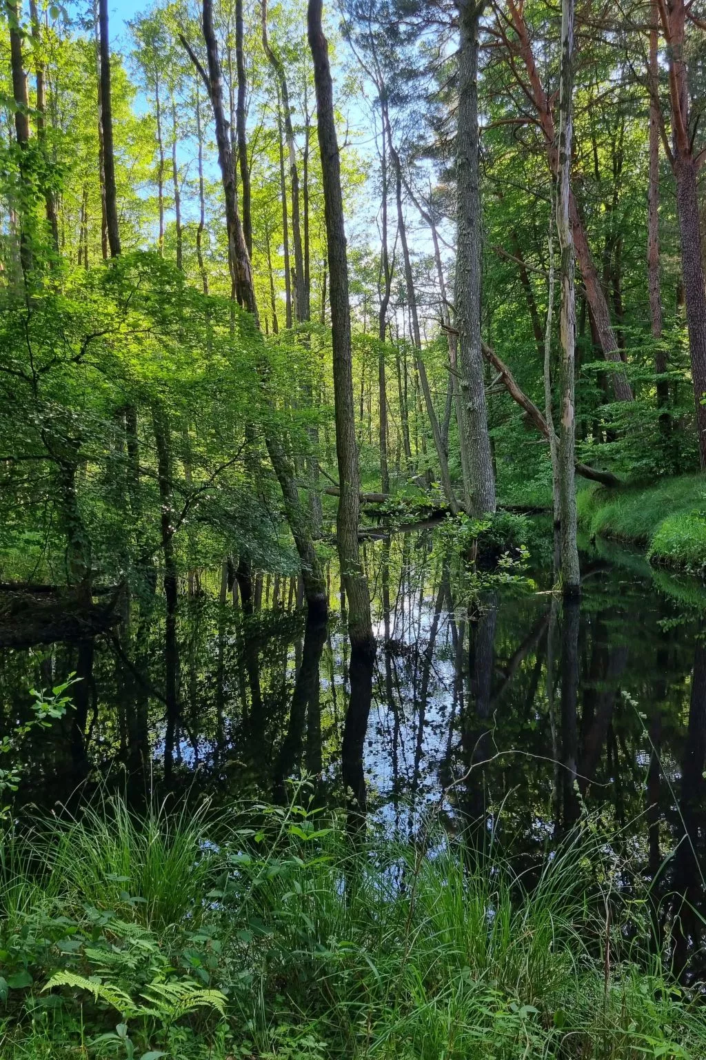 Lublewo21 Ferienhäuser - Draußen