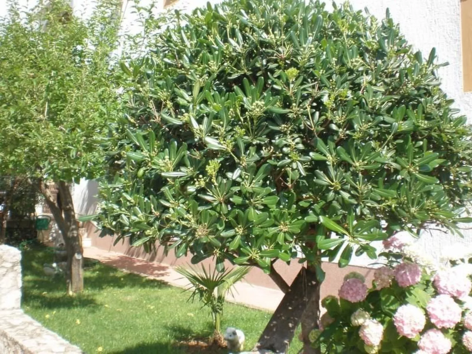 Apartment mit einem kleinen Wohn- und Essbereich und Schlafzimmer-Dehors