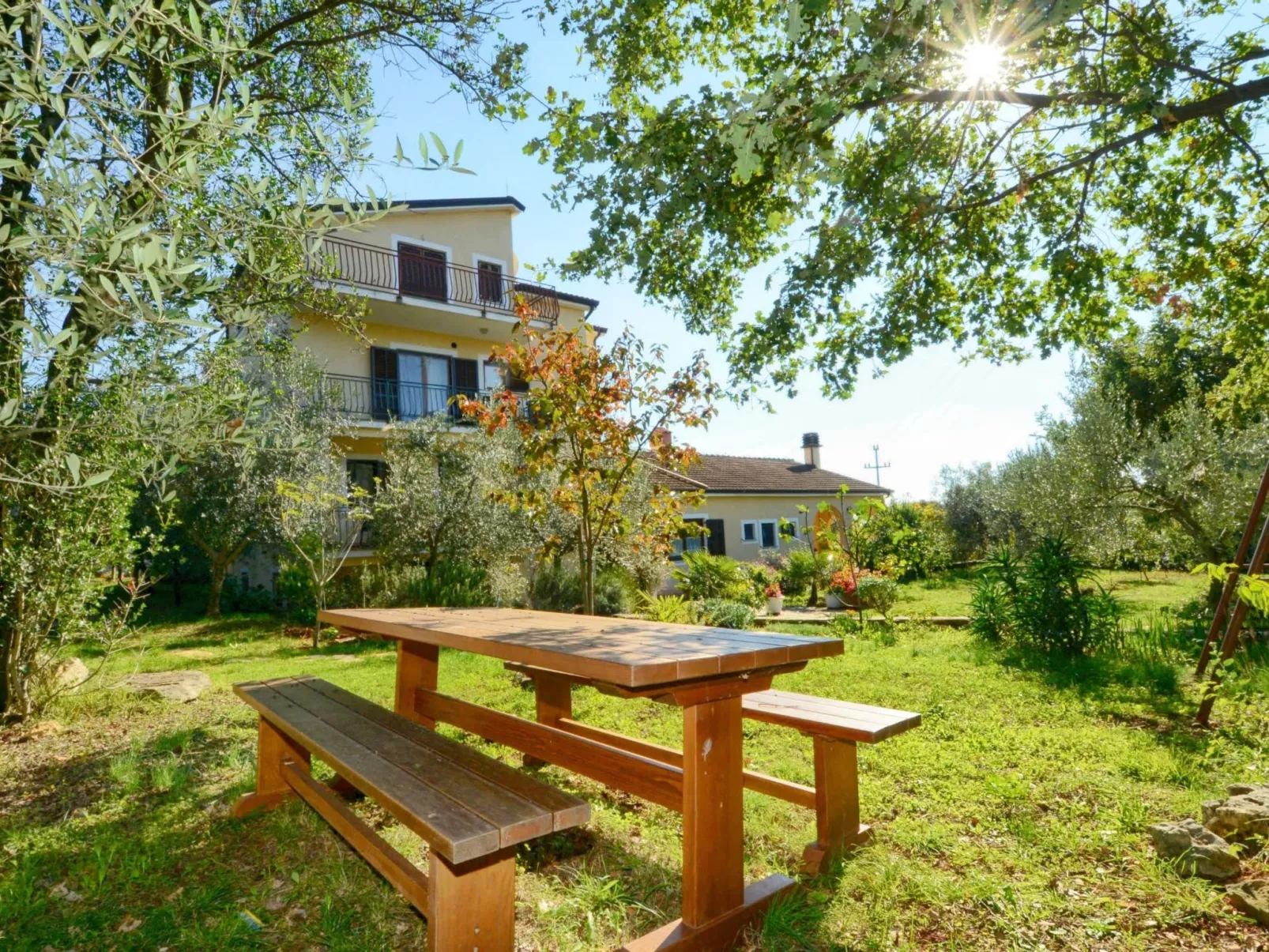 ALBINA STUDIO 5-Dehors