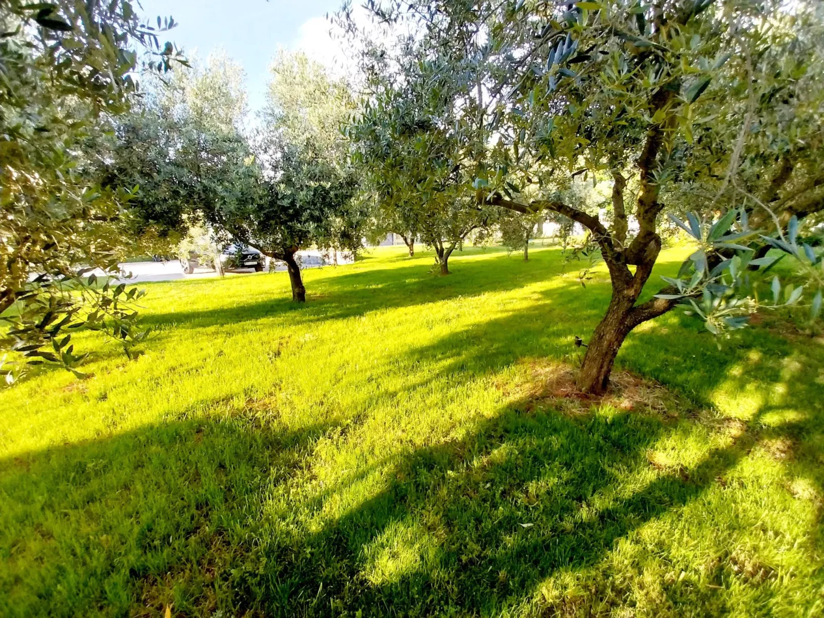 Hacienda Matea - Oase der Romantik in Strandnähe-Outside