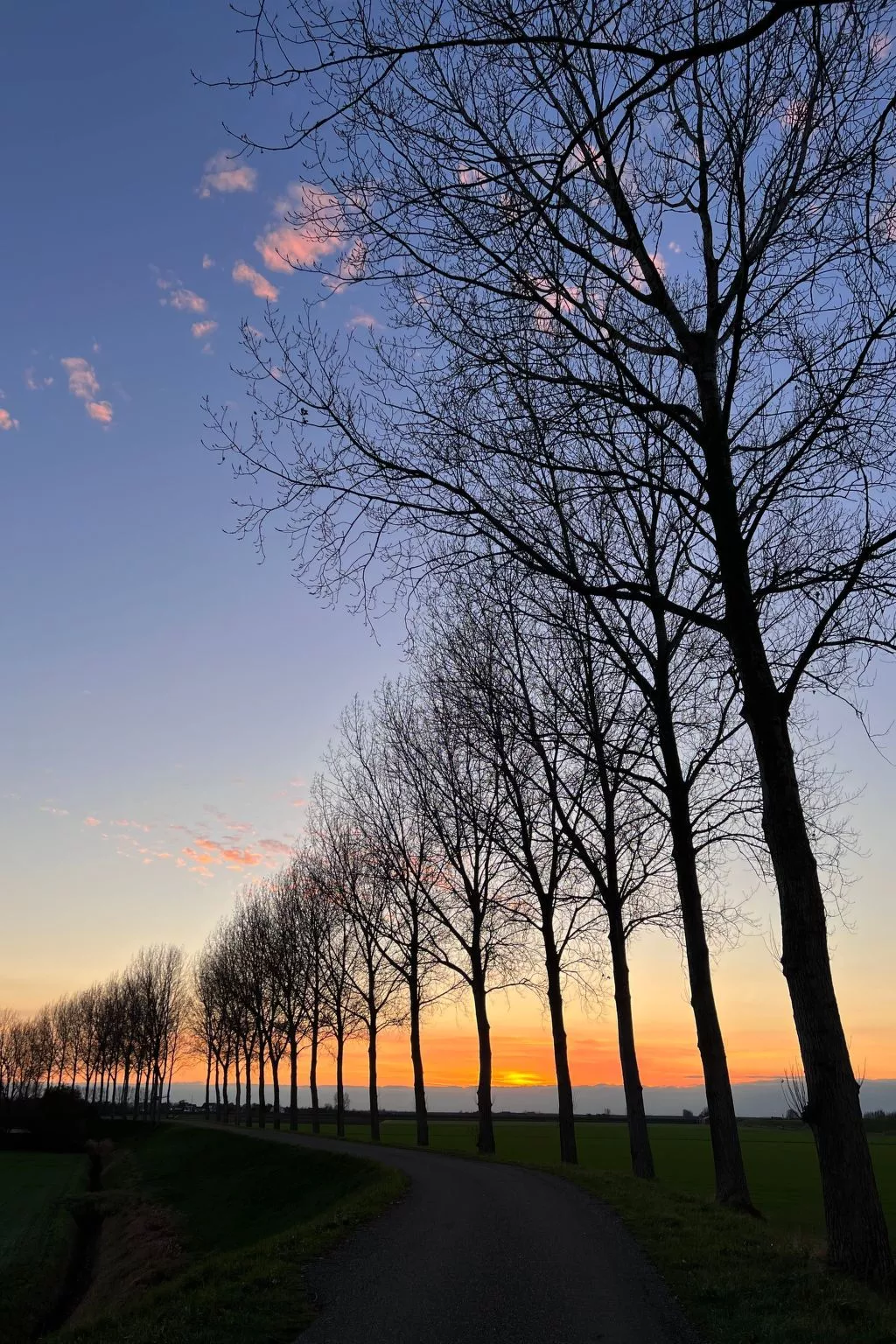 In Stavenisse mit gemütlicher Terrasse-Draußen