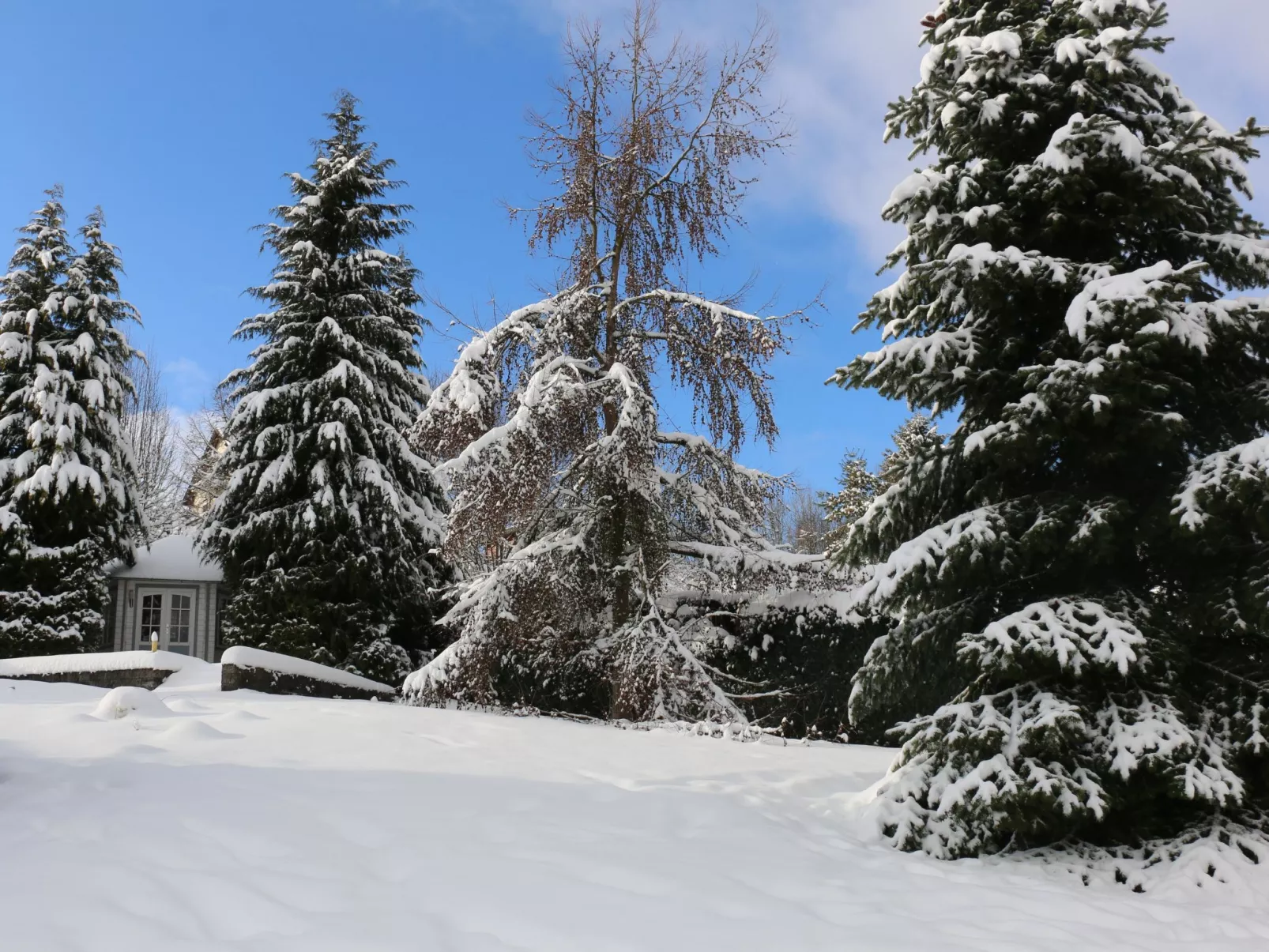 In Steina mit Kleinem Balkon - Dehors