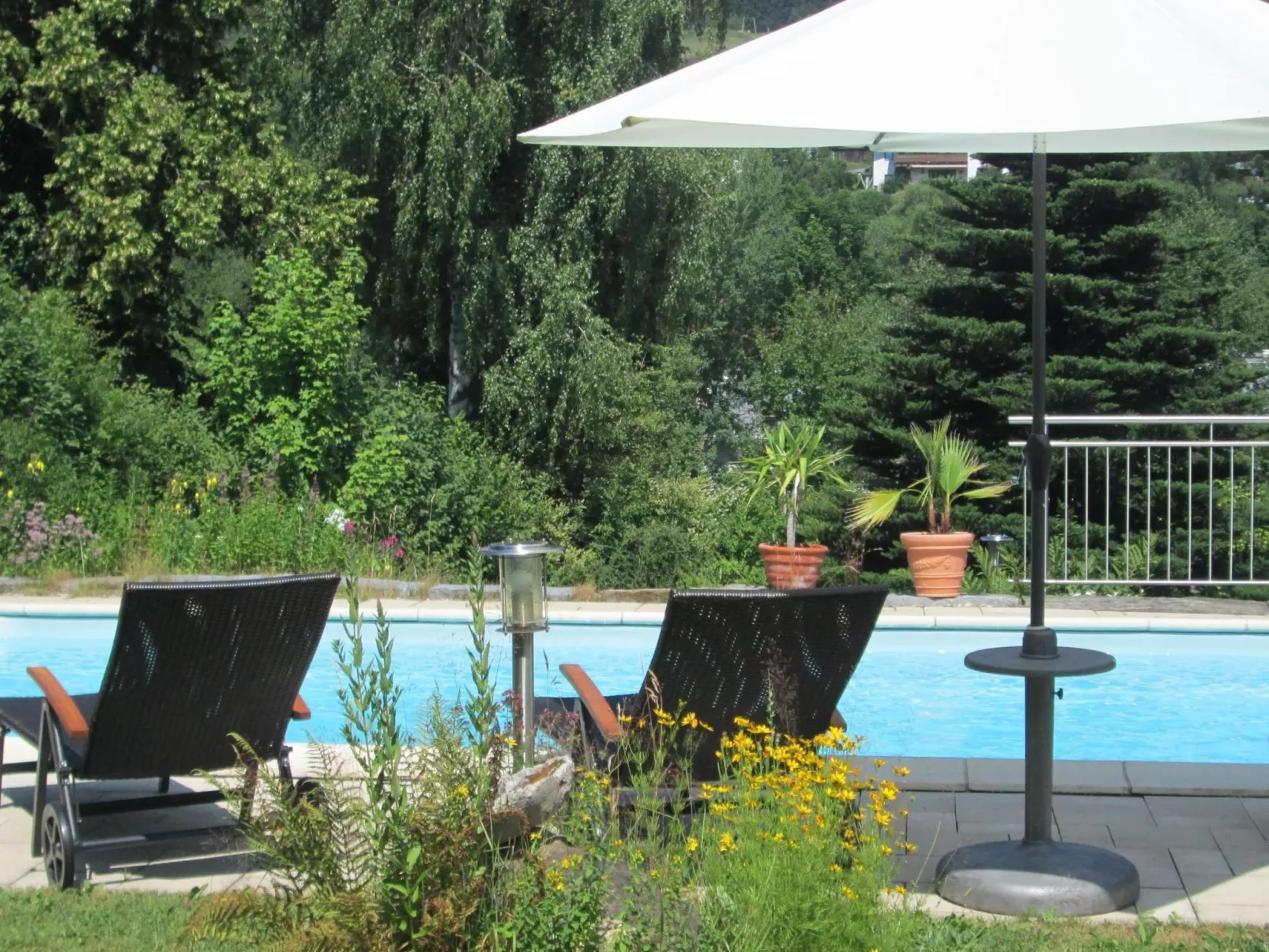 Wiesengrund in Bayerisch Eisenstein-Dehors