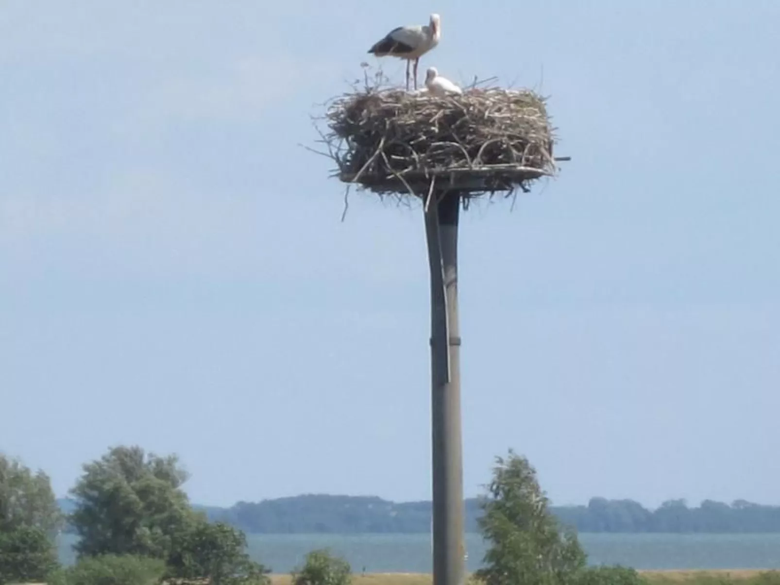 Yachtwieck-Image-tags.info