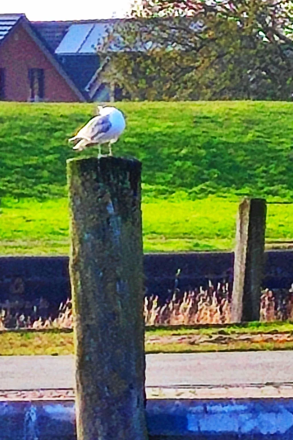 Ankerplatz 54 Grad-Outside