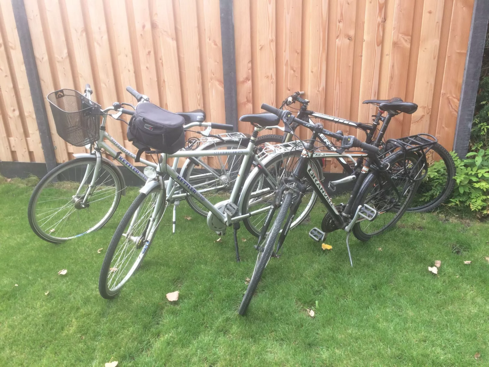 Luxus-Ferienhaus mit Sauna und Kamin-Draußen