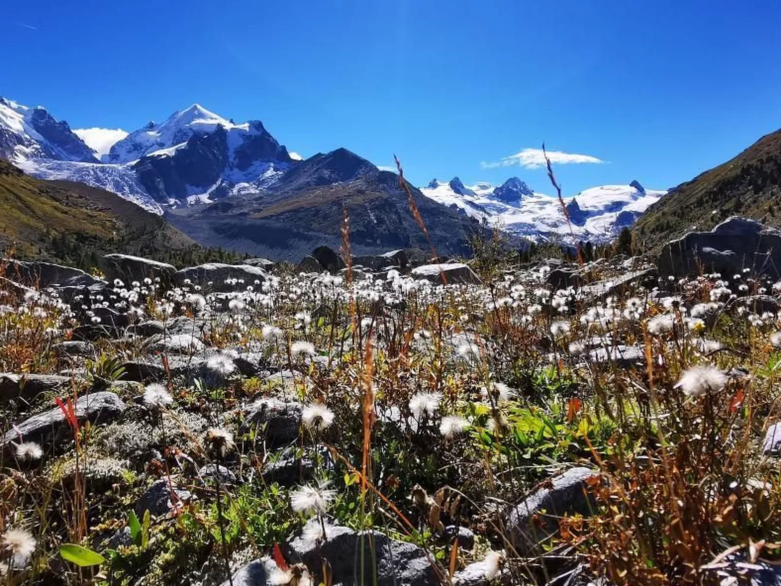 Via charels sur 8-Dehors