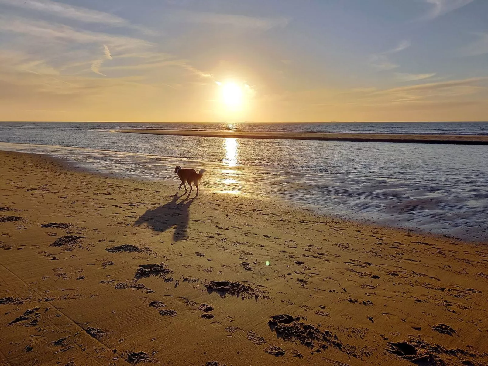 Oceania-Image-tags.info