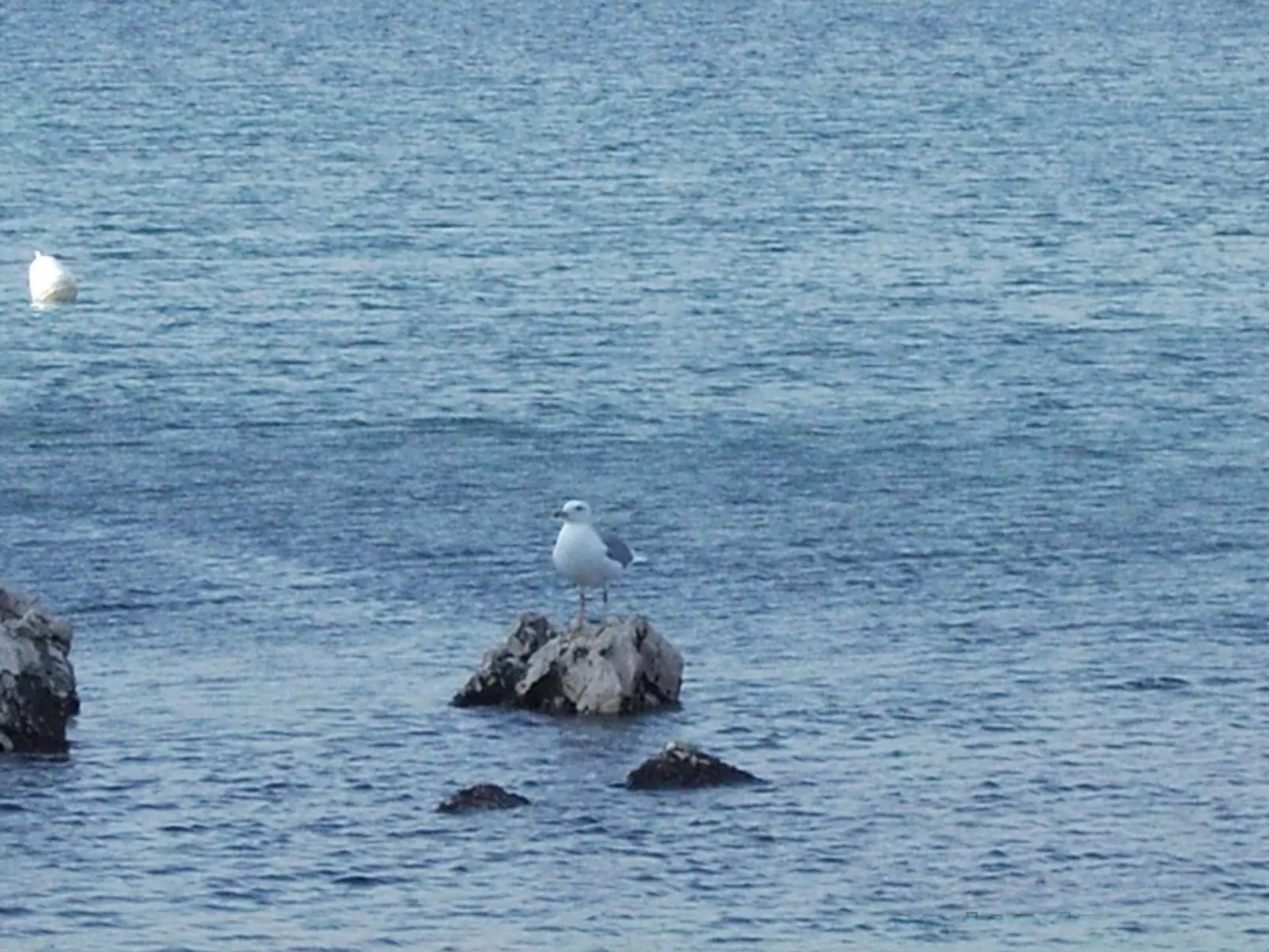 Mit Meerblick in Vinjerac-Draußen