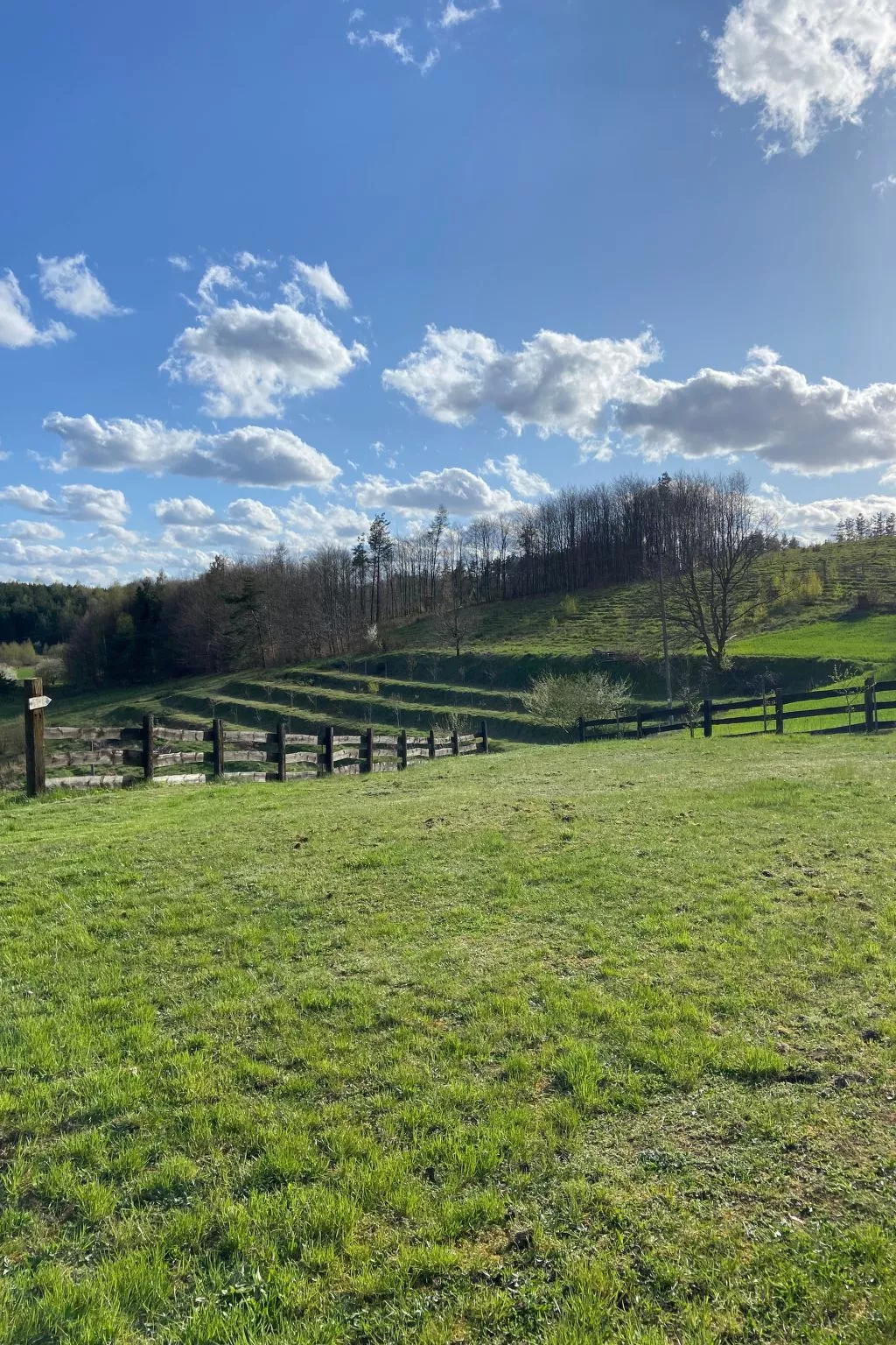 Alte Dorfschule-Draußen