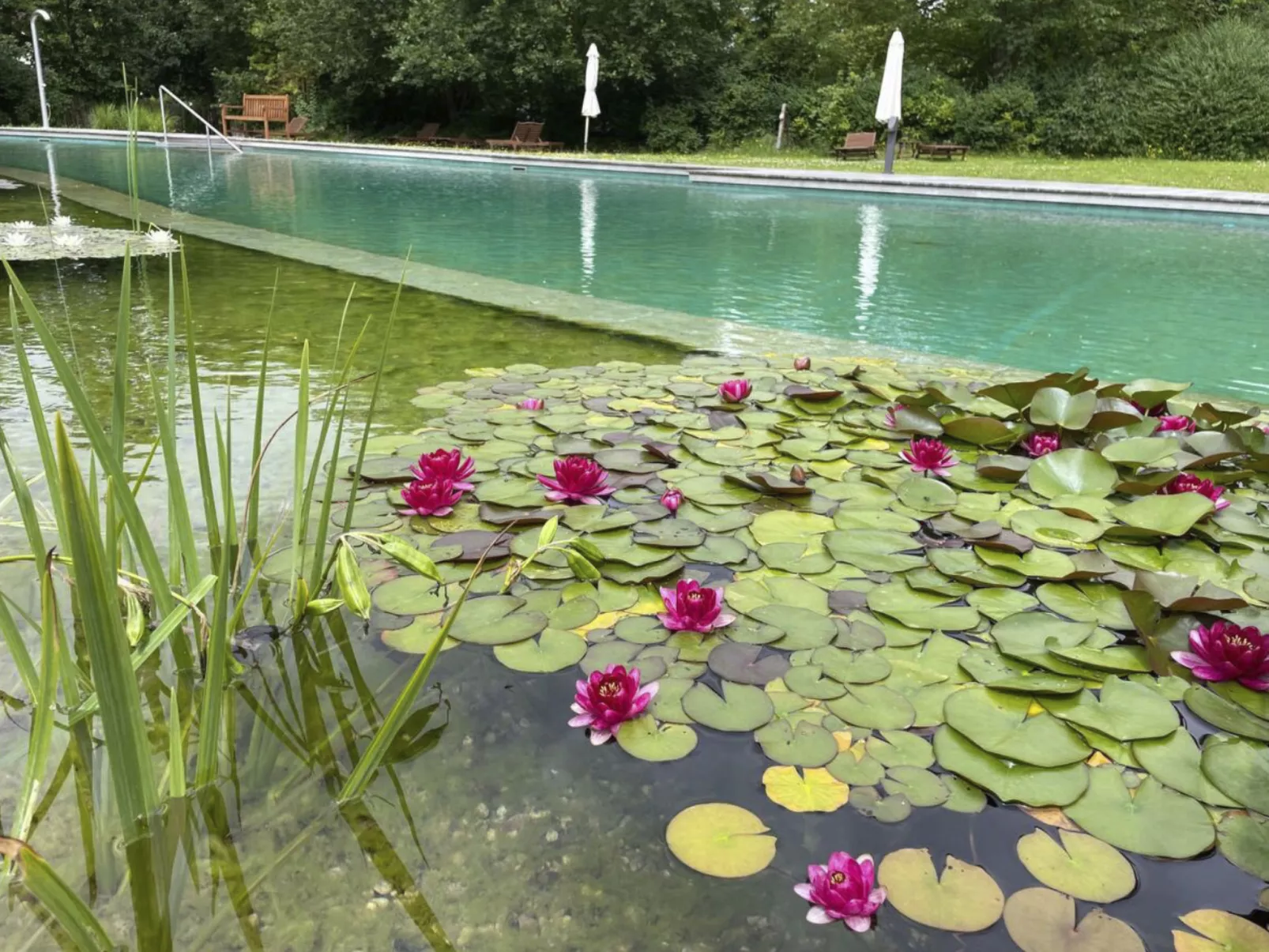 Haus Weitblick-Outside