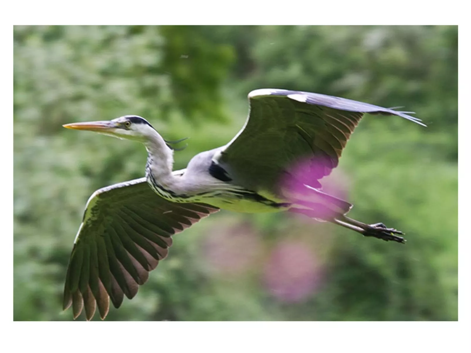 Großes Ferienhaus mit Terrasse und Garten-Outside