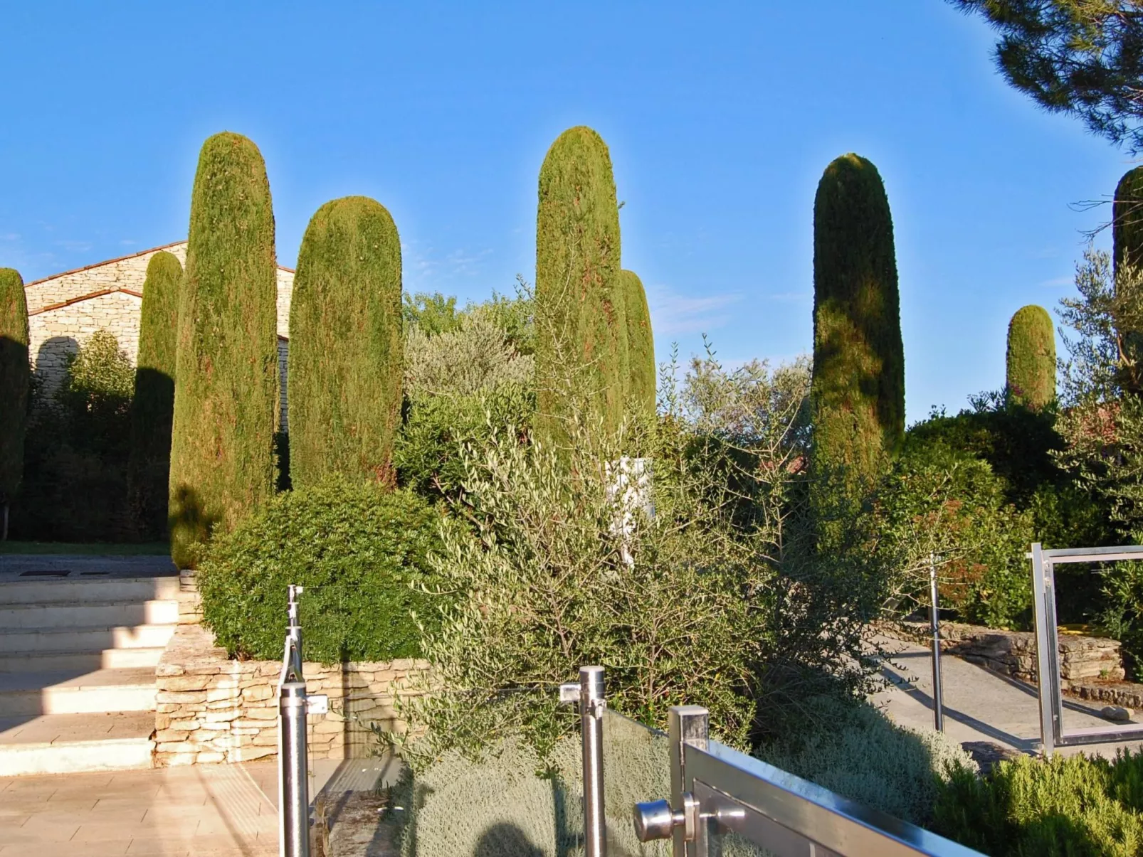 Cypres du Paradis-Draußen