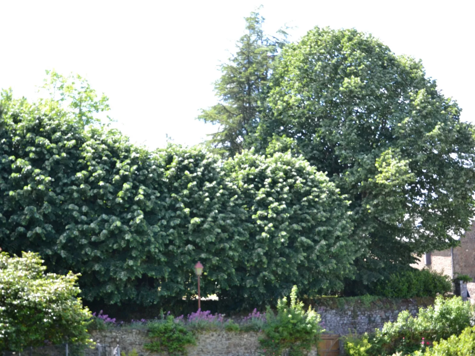 Villa La Côte du Chat -Familienhaus Bretagne-Draußen