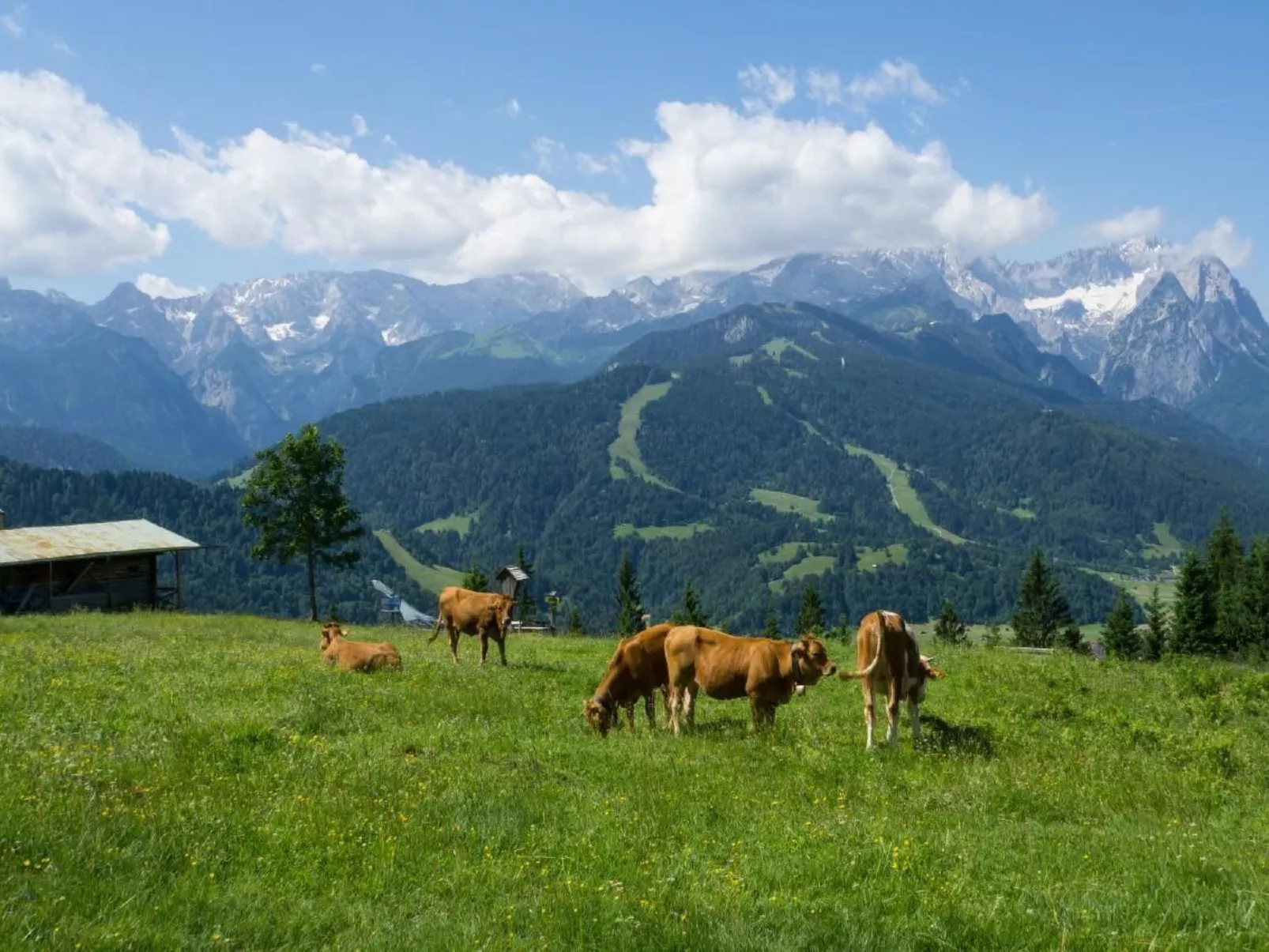 Fewo Zugspitze-Outside
