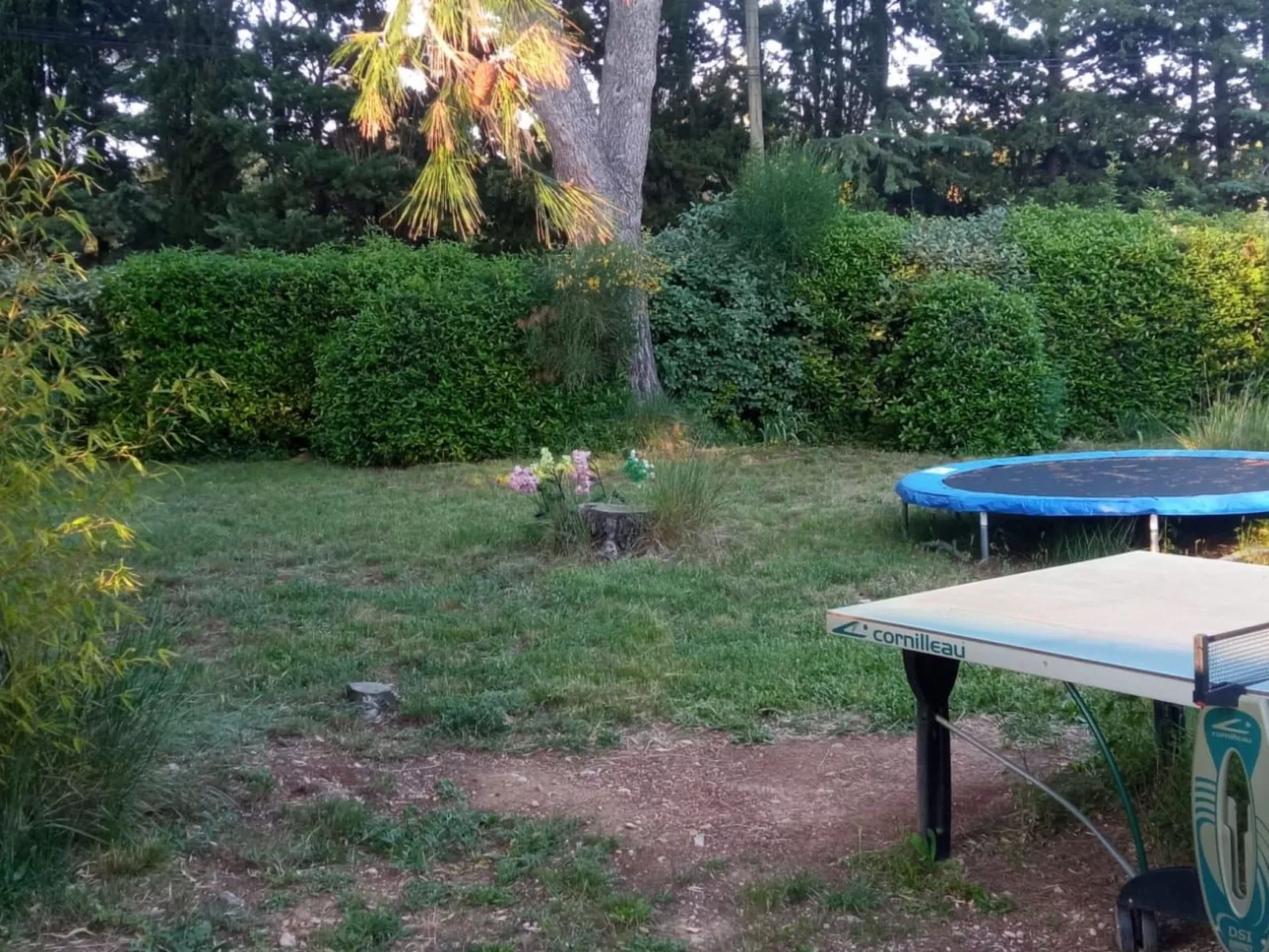 La petite maison sous les pinins-innenpool-Draußen