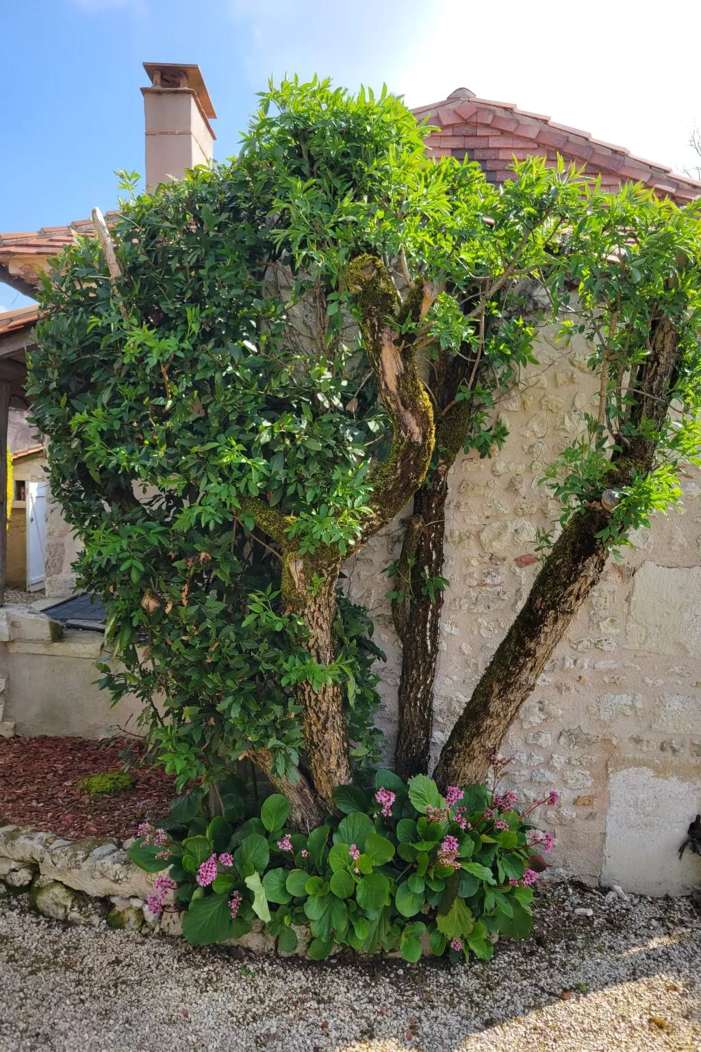 Domaine des Prairies de Latry-Outside