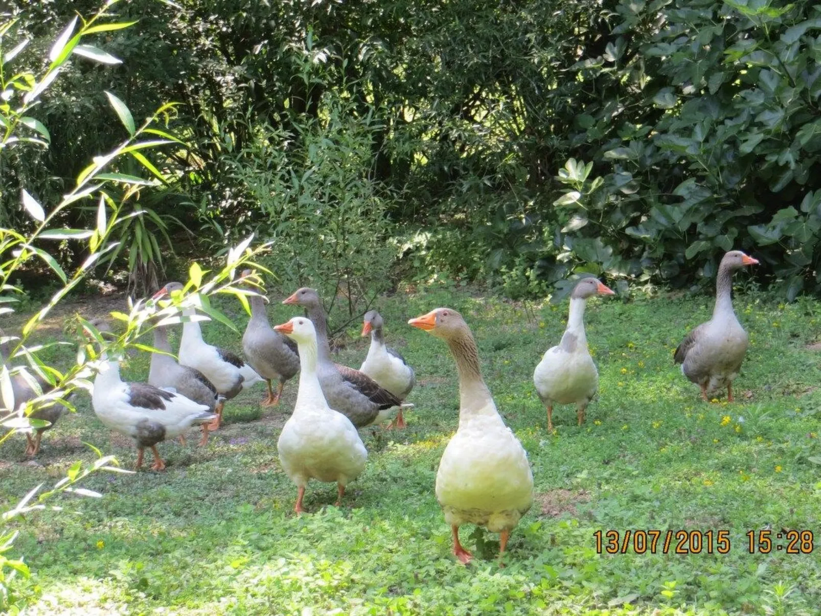Maison du Moulin in Bauernhof-Draußen