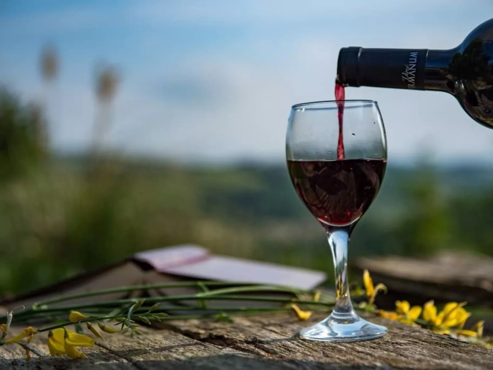 Villa mit Pool für 29 Personen ca. 800 m2-Dehors