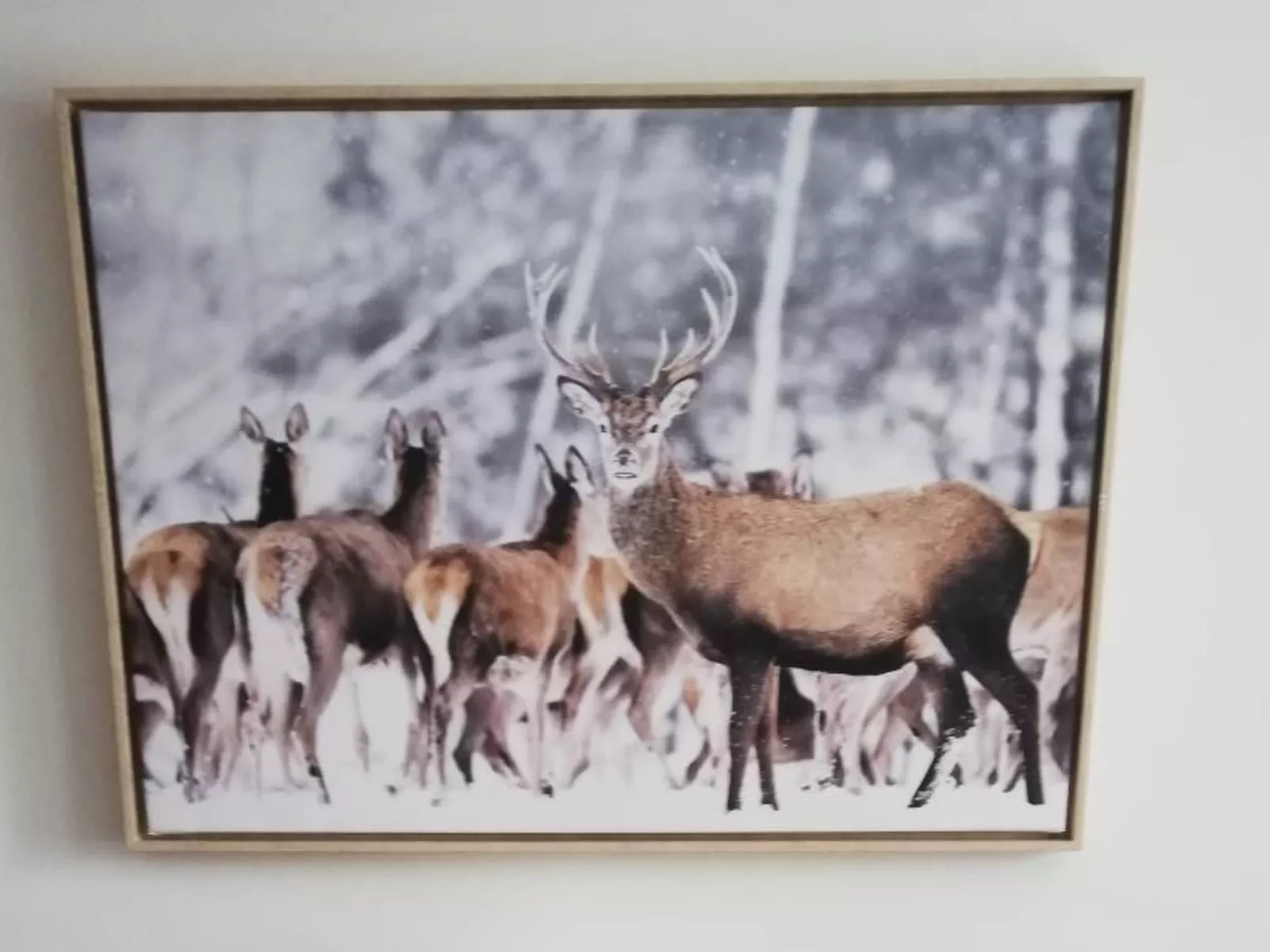 Chalet 3 Zi. in ruhiger Lage, in der Nähe von Verbier-Dedans