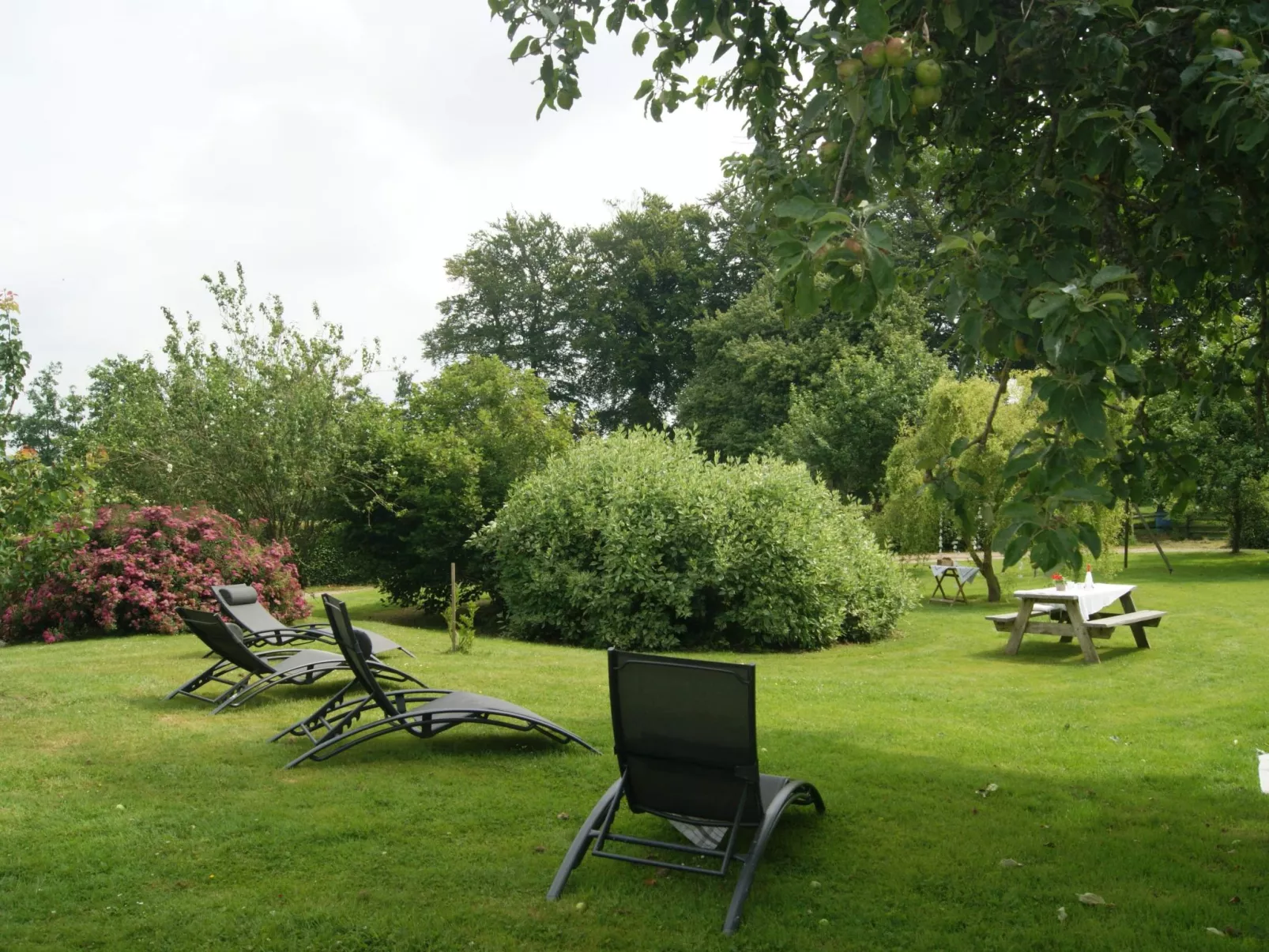 Charmante normannische Ferienwohnung les chataigniers 3 Zimmer-Outside