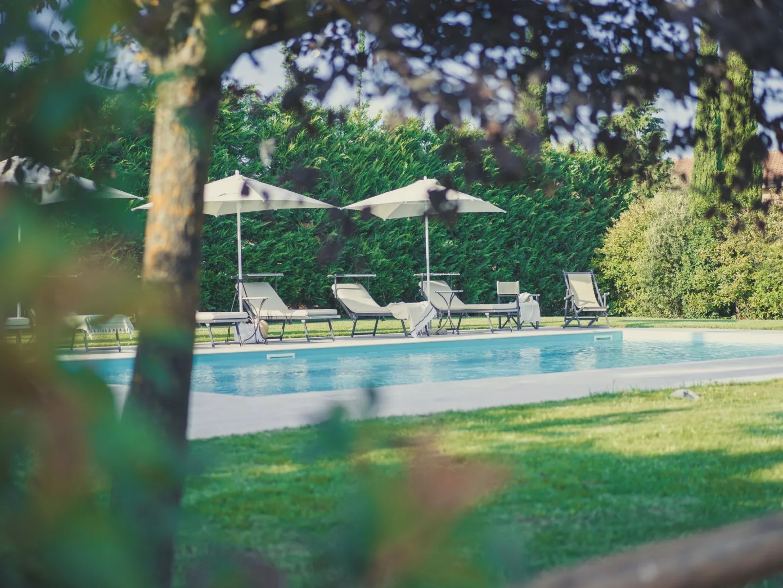 Tenuta "Podere Osteria"-Dehors