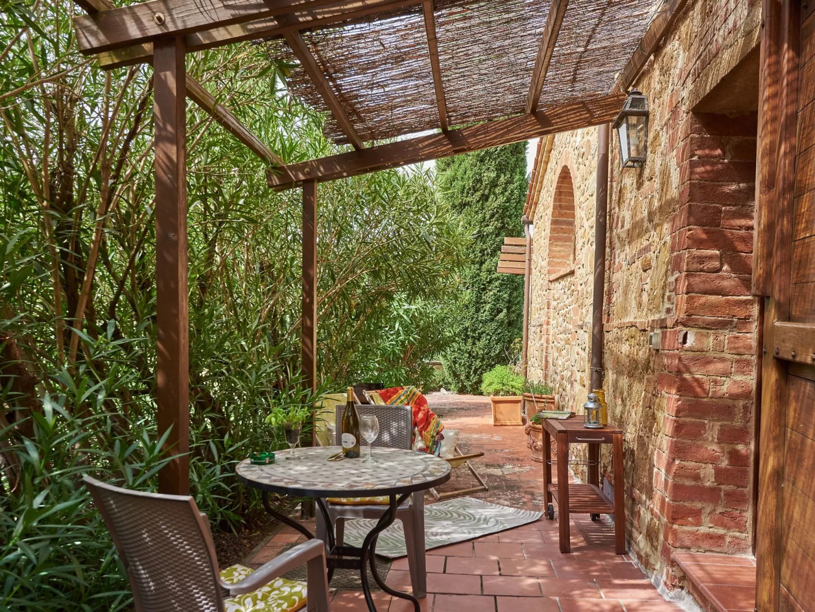 Flach 'Salvia castellett-Draußen