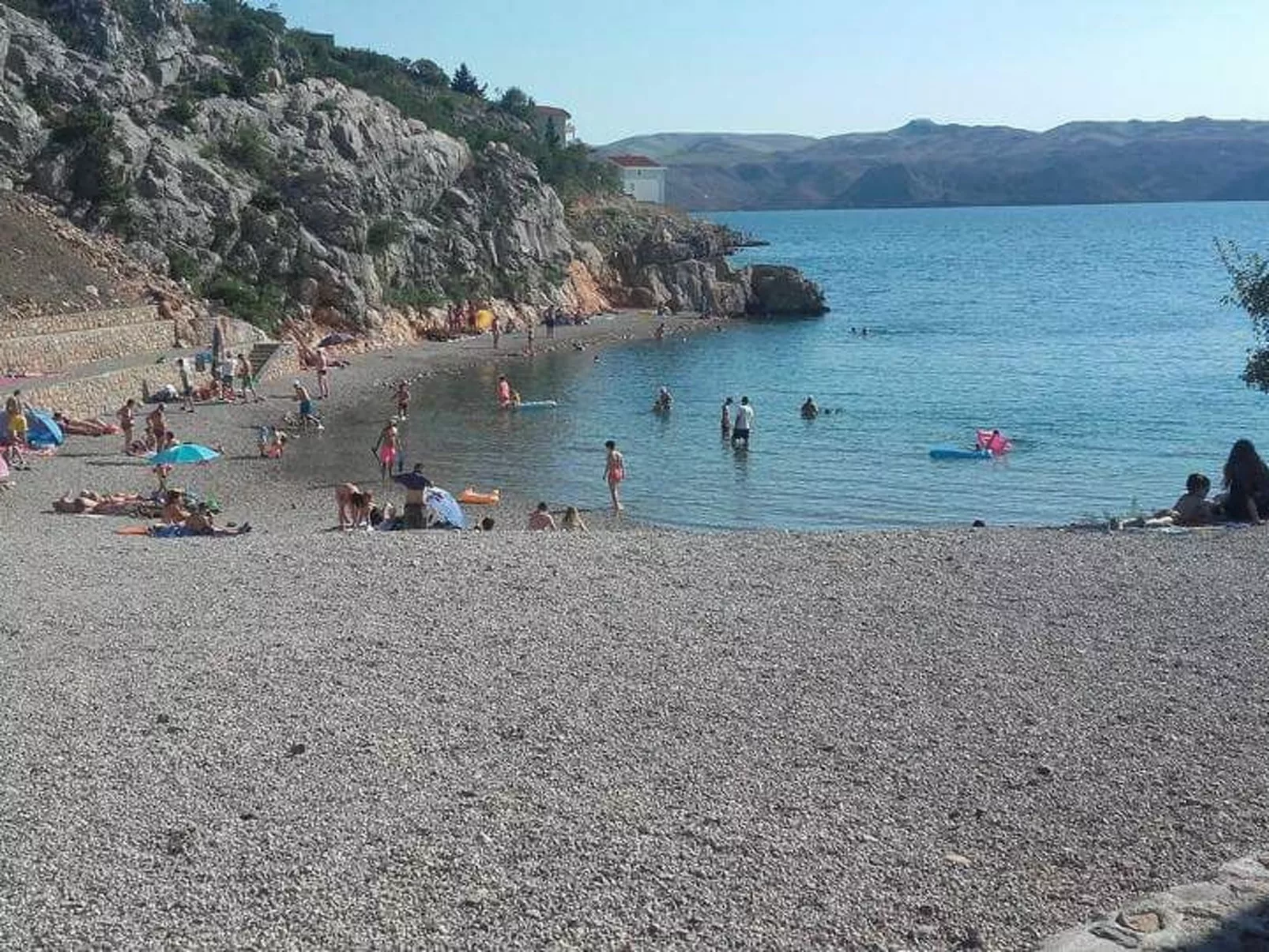 Lantana-Image-tags.info