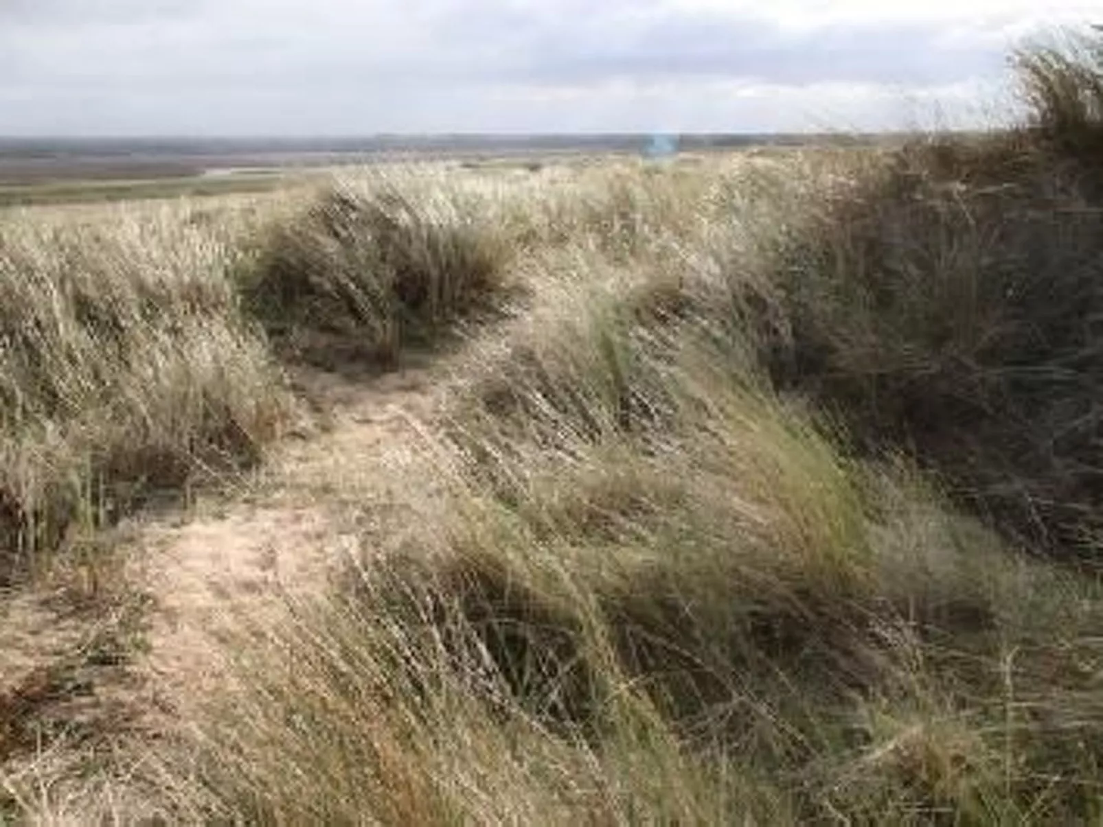 "8883" in Strandnähe-Outside