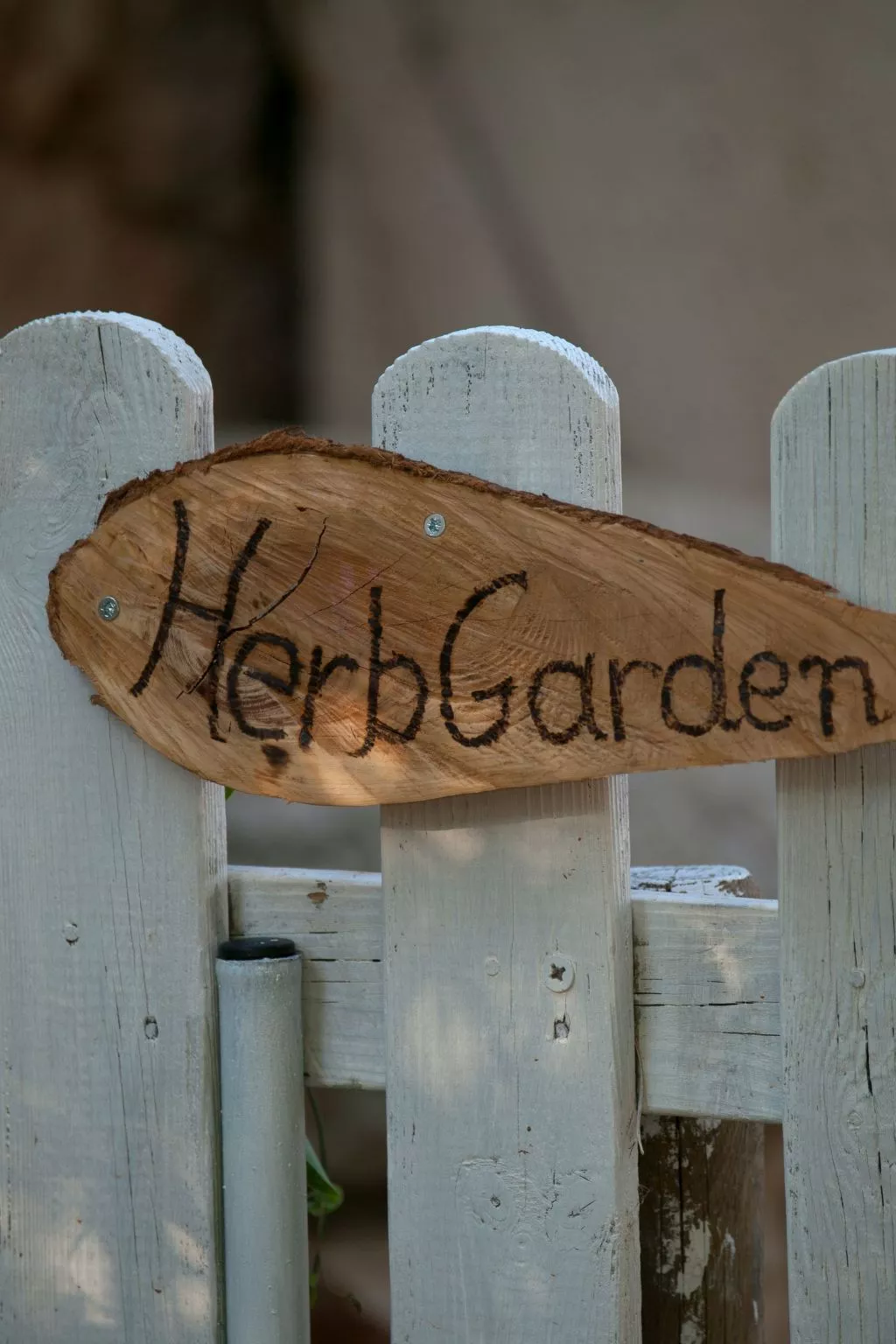 Der Garten von Zephyrus - West-Draußen