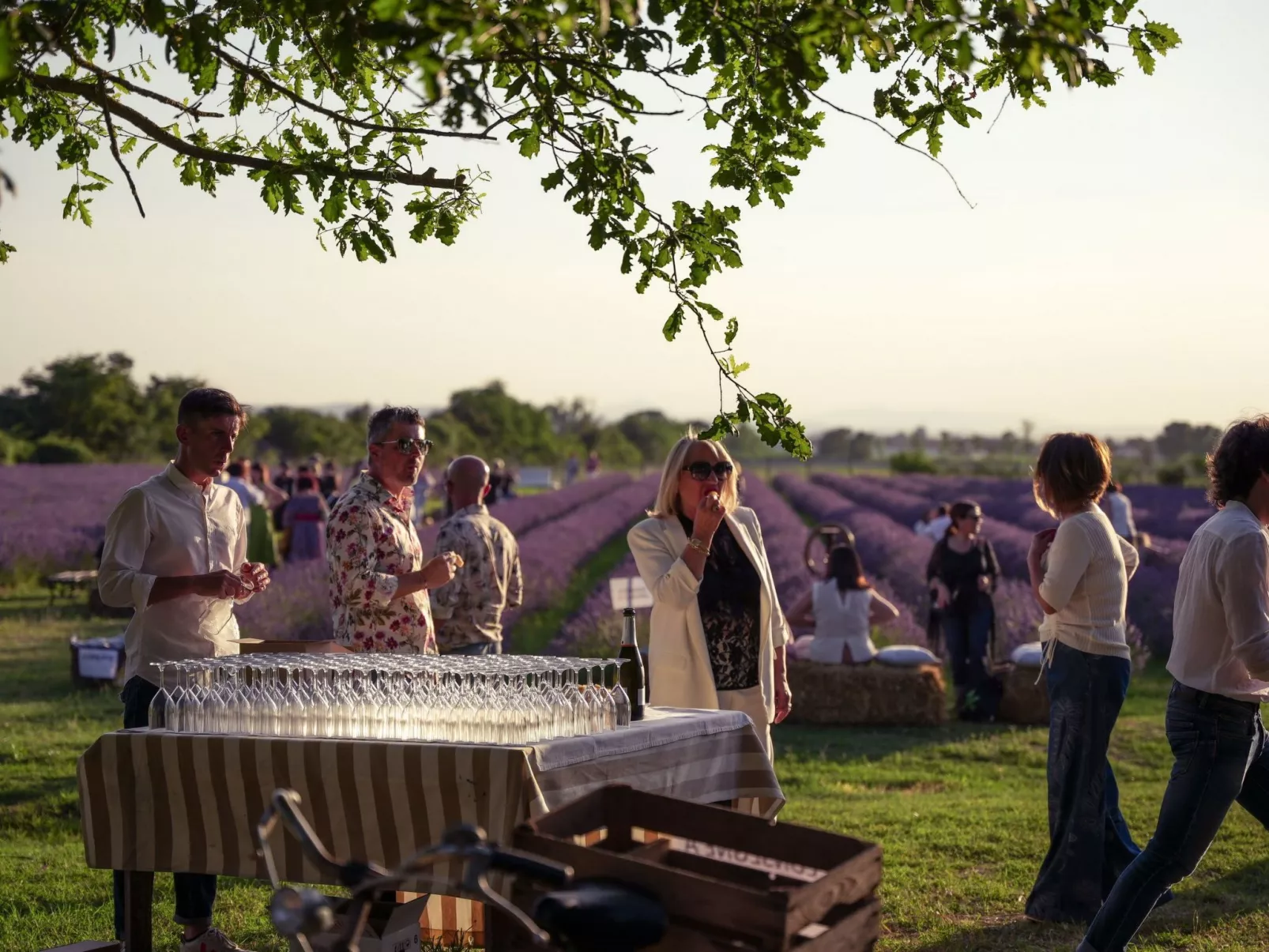 Wohnung 'Molinello pini' mit Schwimmbad-Outside