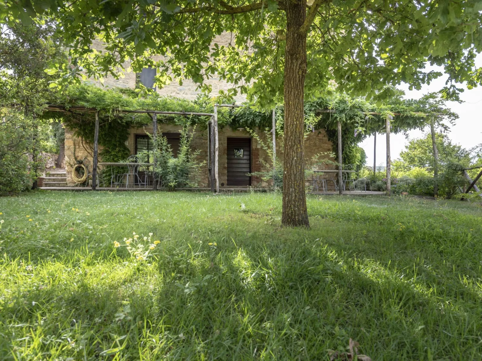 Robin Mascie-Draußen