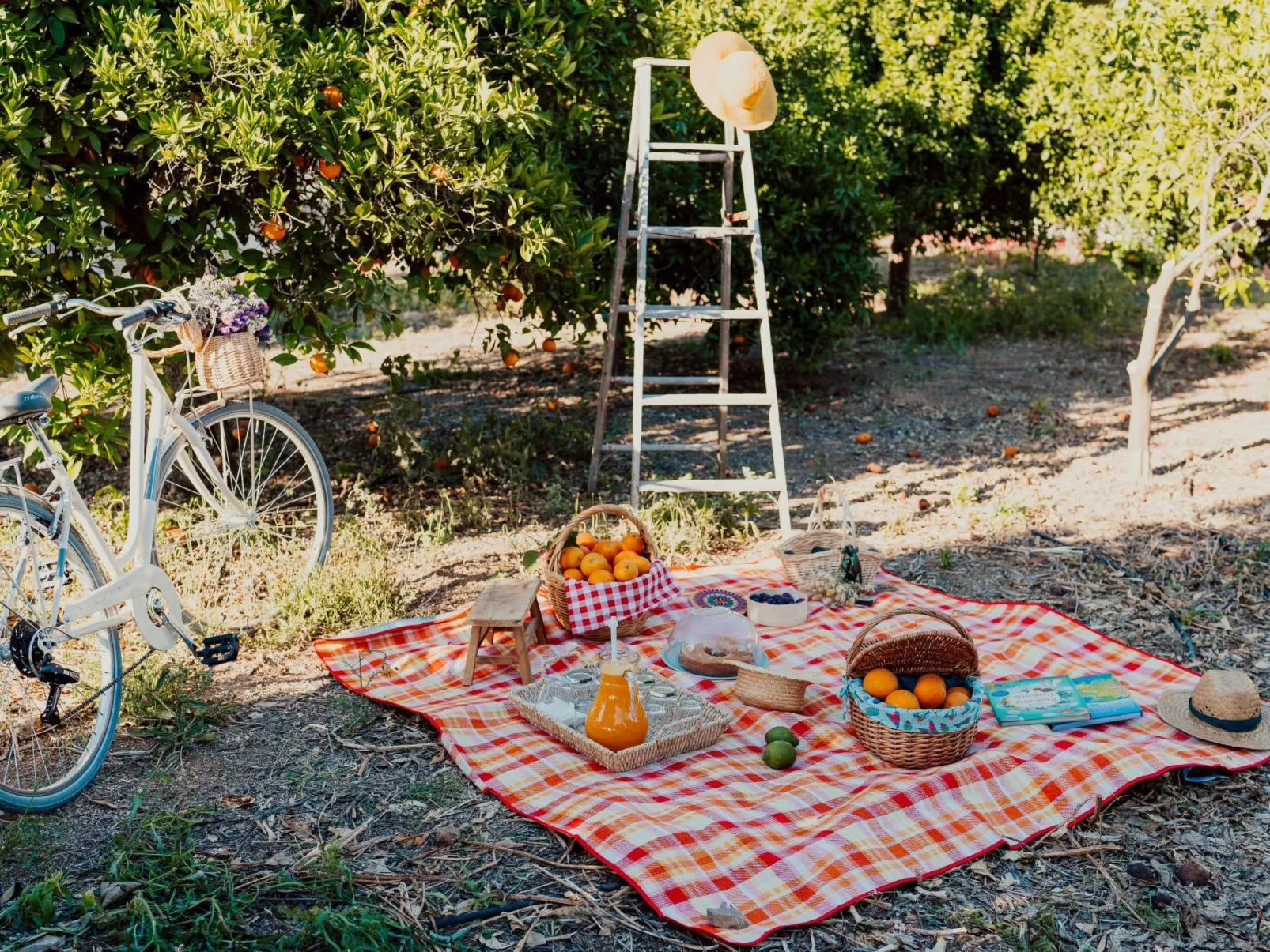 Studio auf dem Lande
