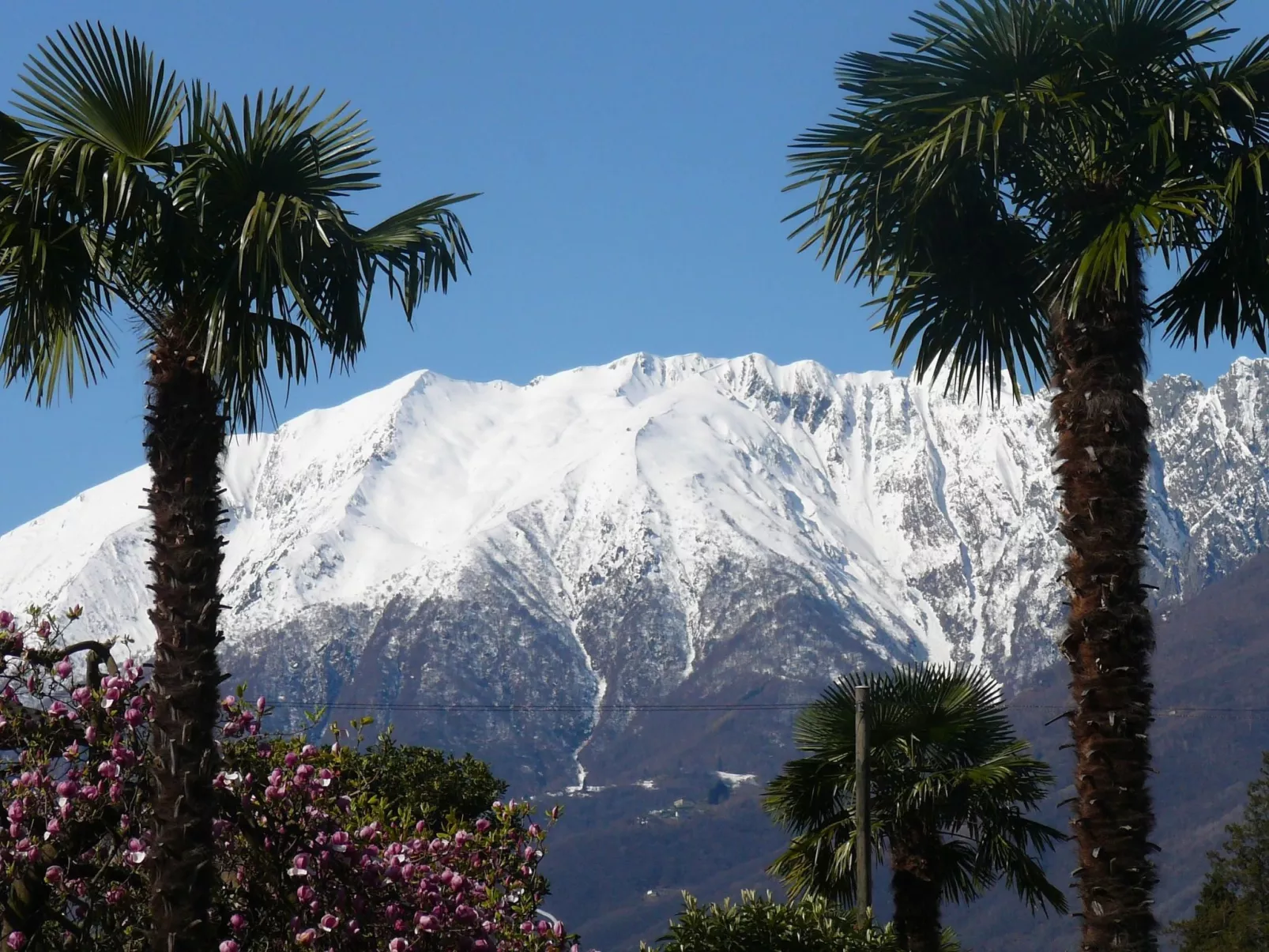 Casa Adelizia-Dehors