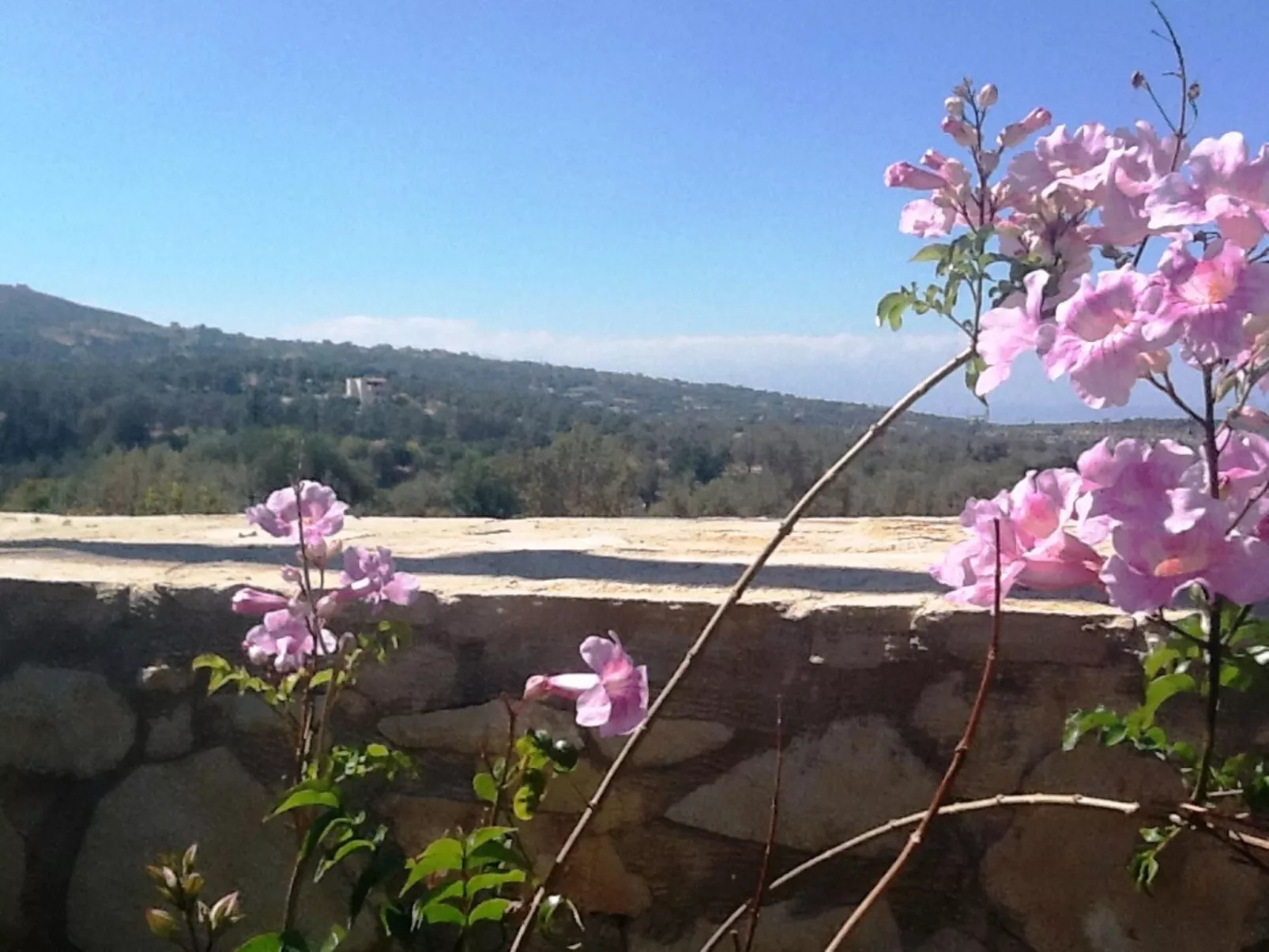 Villa Stefanos, Meerblick, privater Pool, Rethymno-Draußen