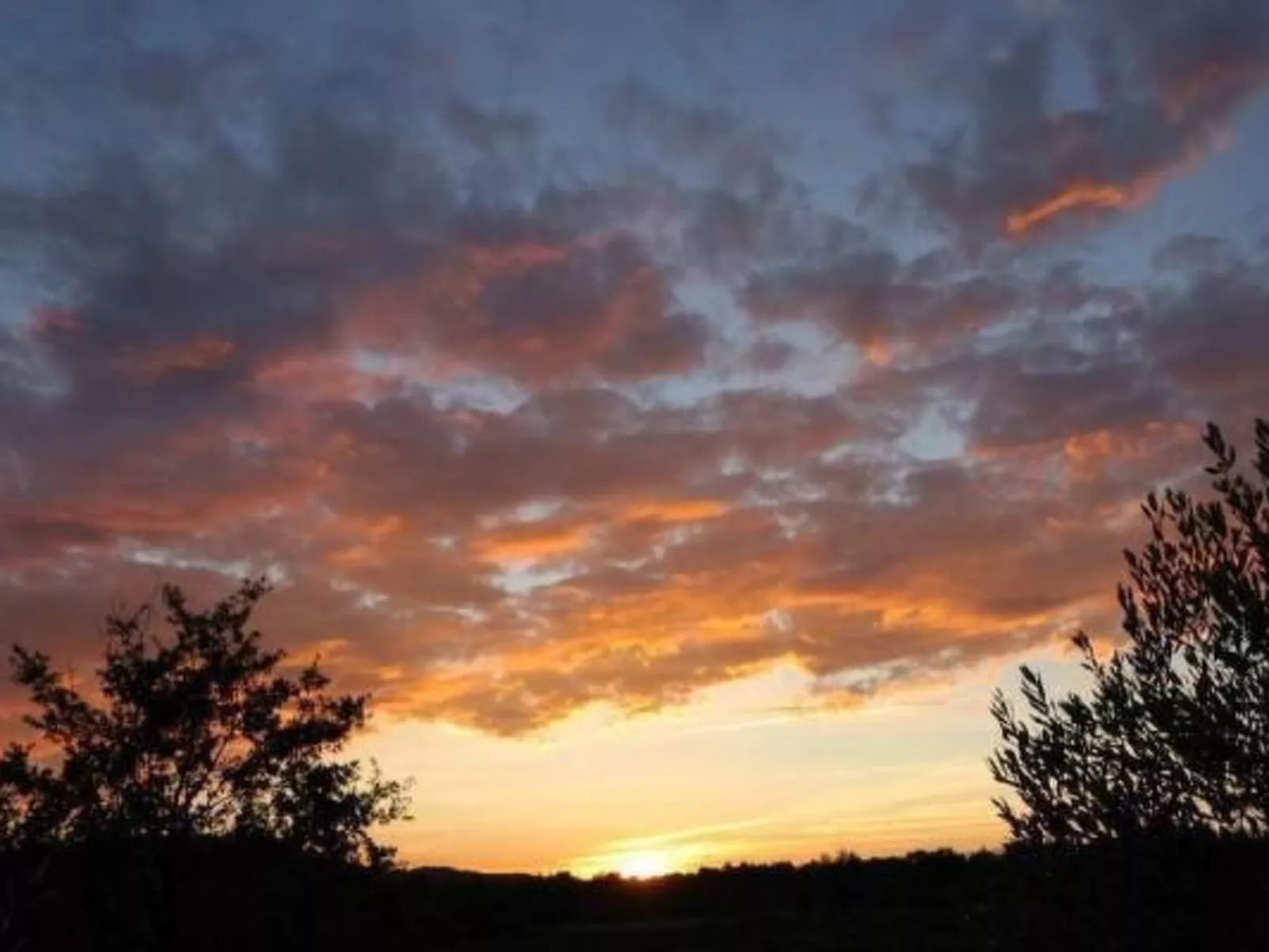 FERIENHAUS, FERIENHAUS "MAISON DE LAVANDE" (LAVENDELHAUS)-Dehors