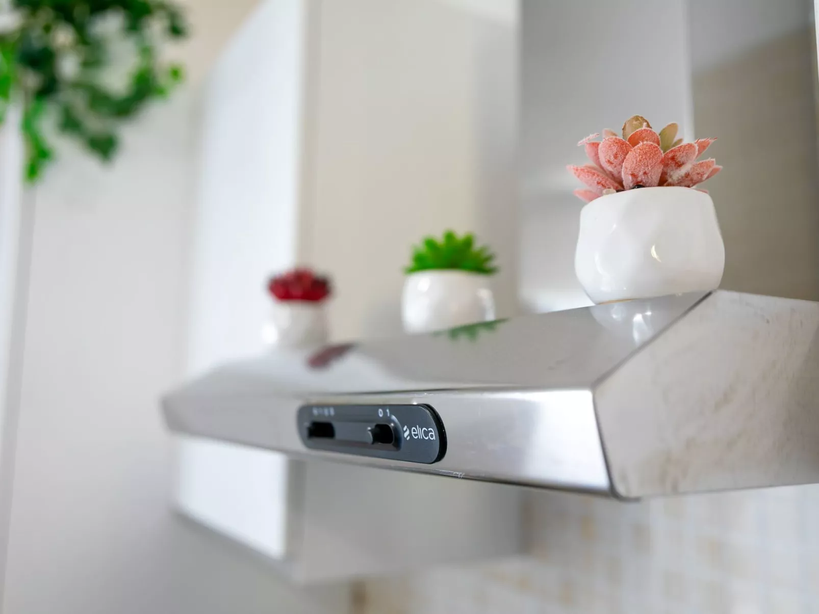 'Mare Blu'-Image-tags.info