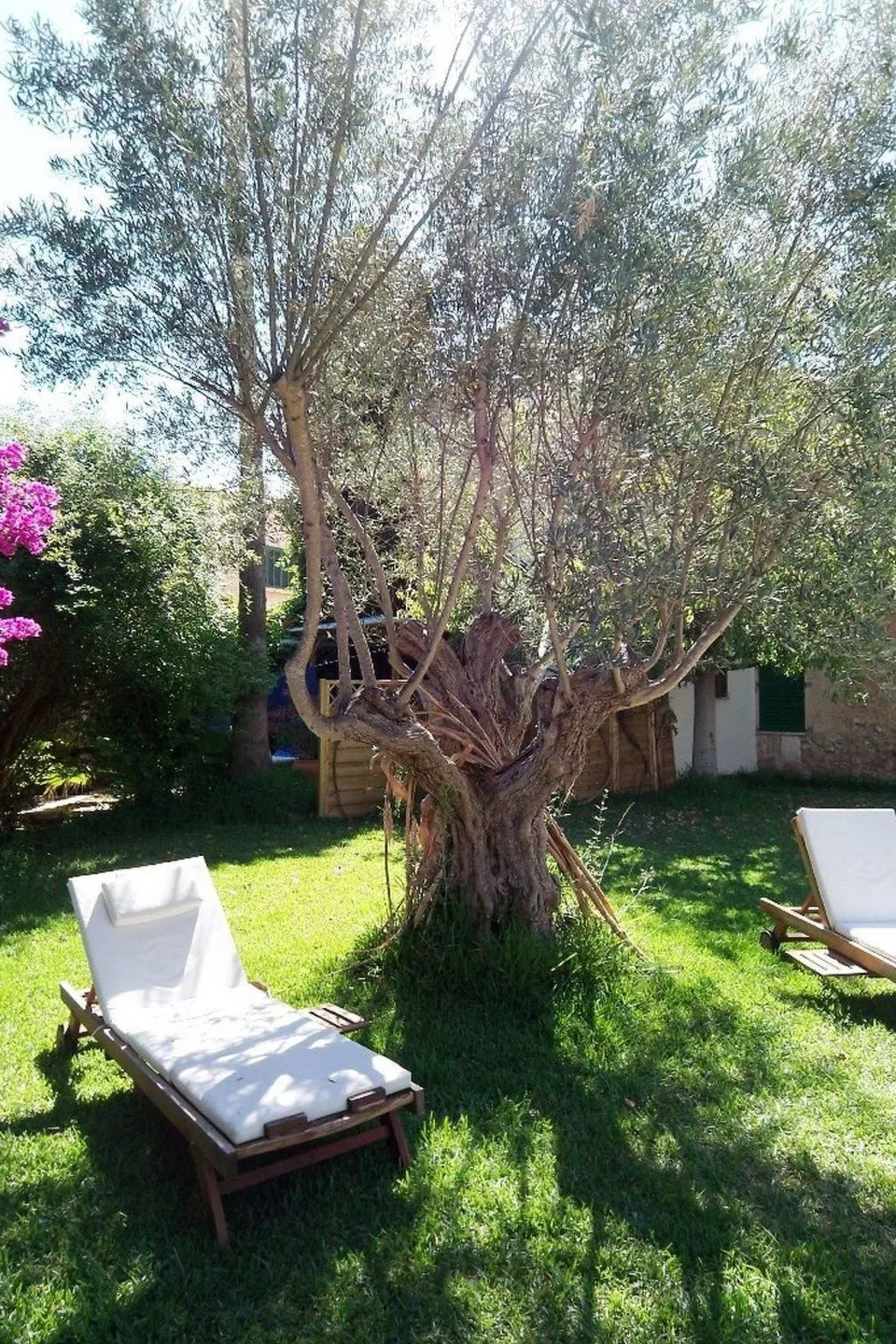 Studio Apartment-Image-tags.info