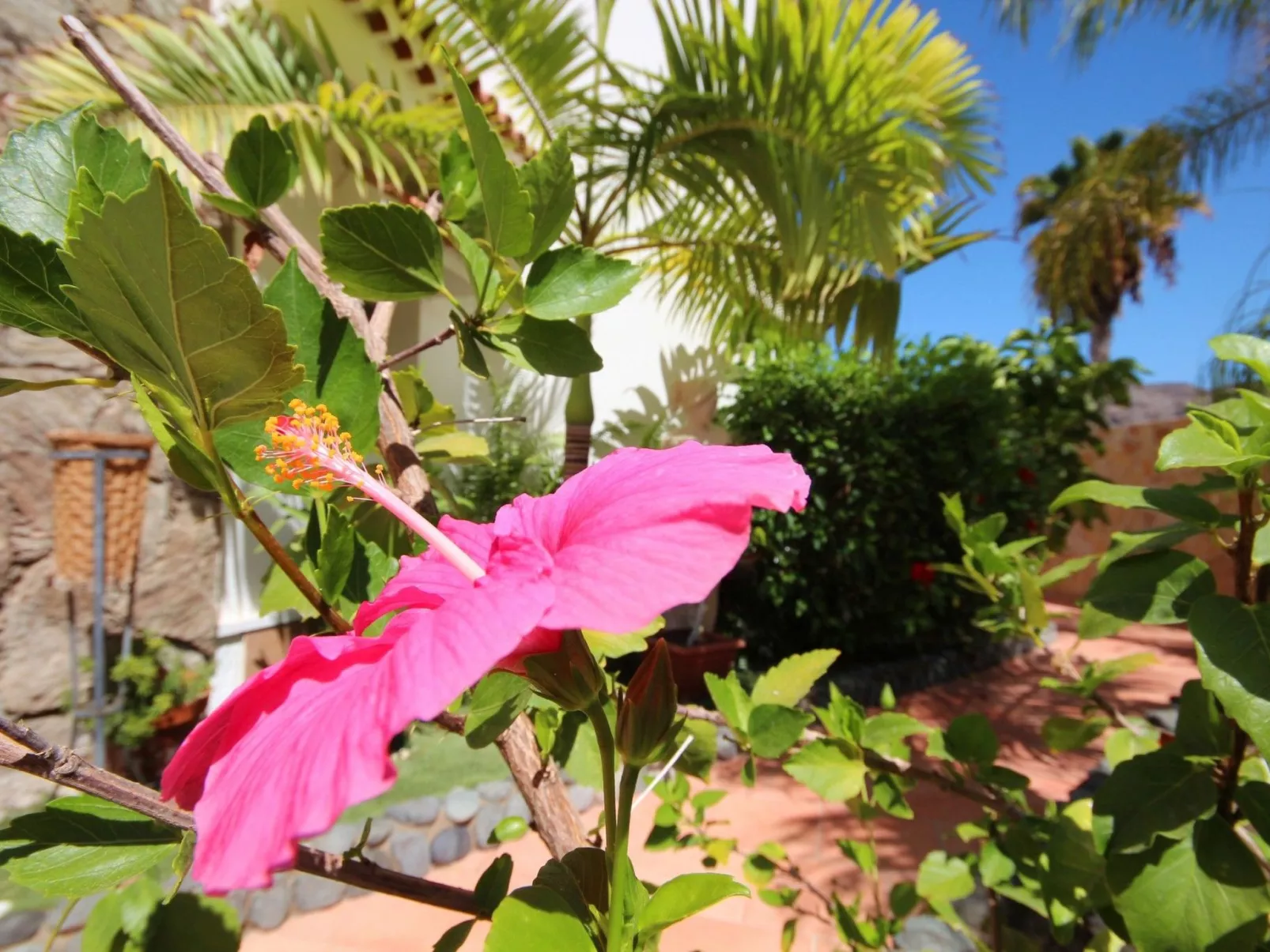 Luxus-Villa Lucia-Image-tags.info